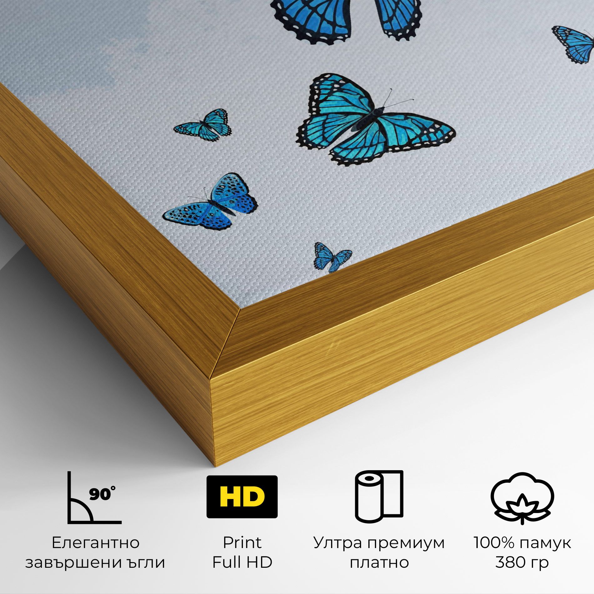 Blue Sky Butterfly mockup 4