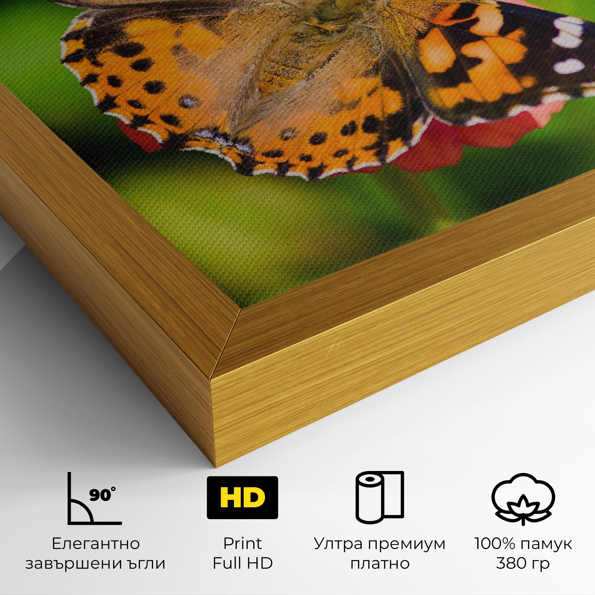 Картина на платно Butterfly On Flower mockup 4