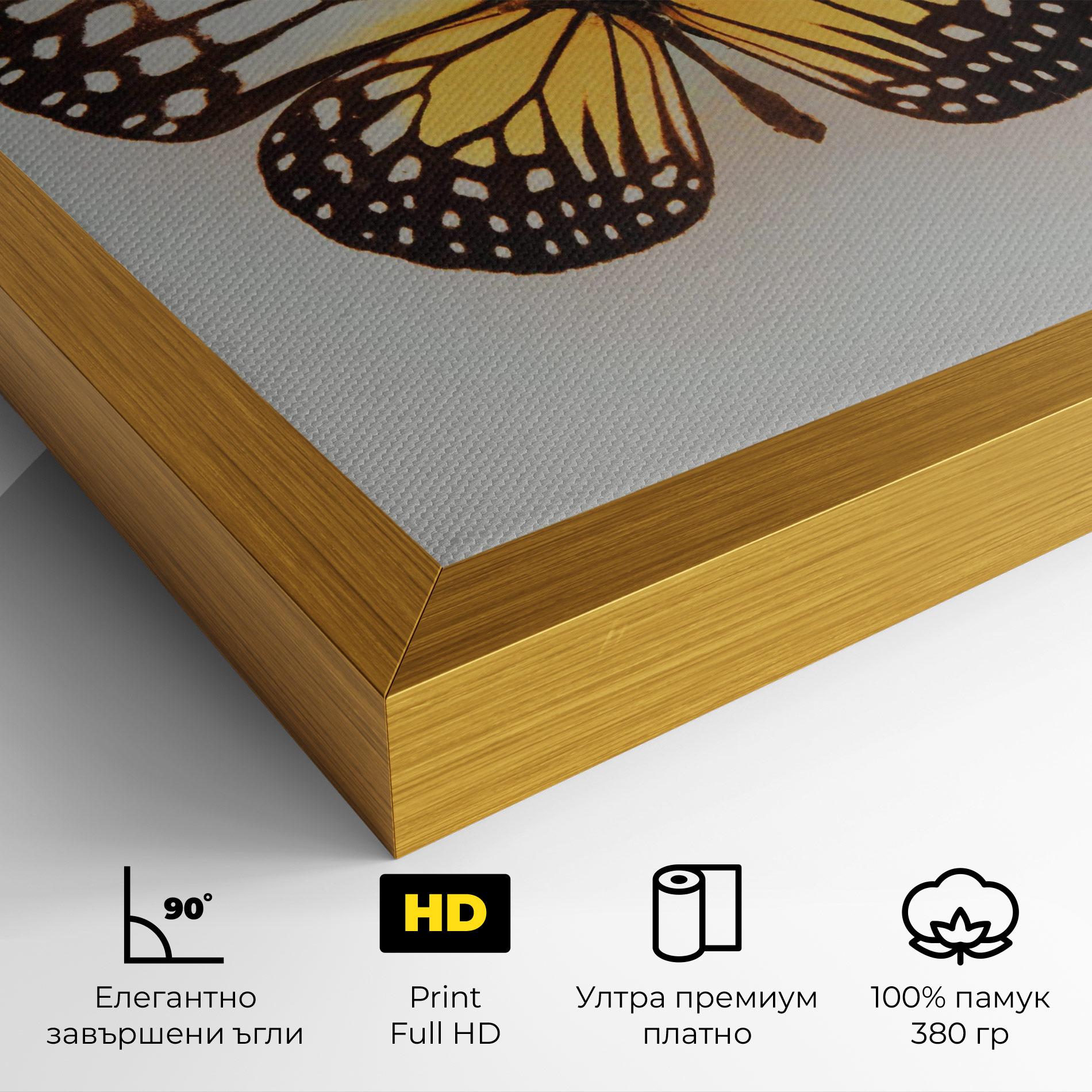 Картина на платно Butterfly On Grey mockup 4