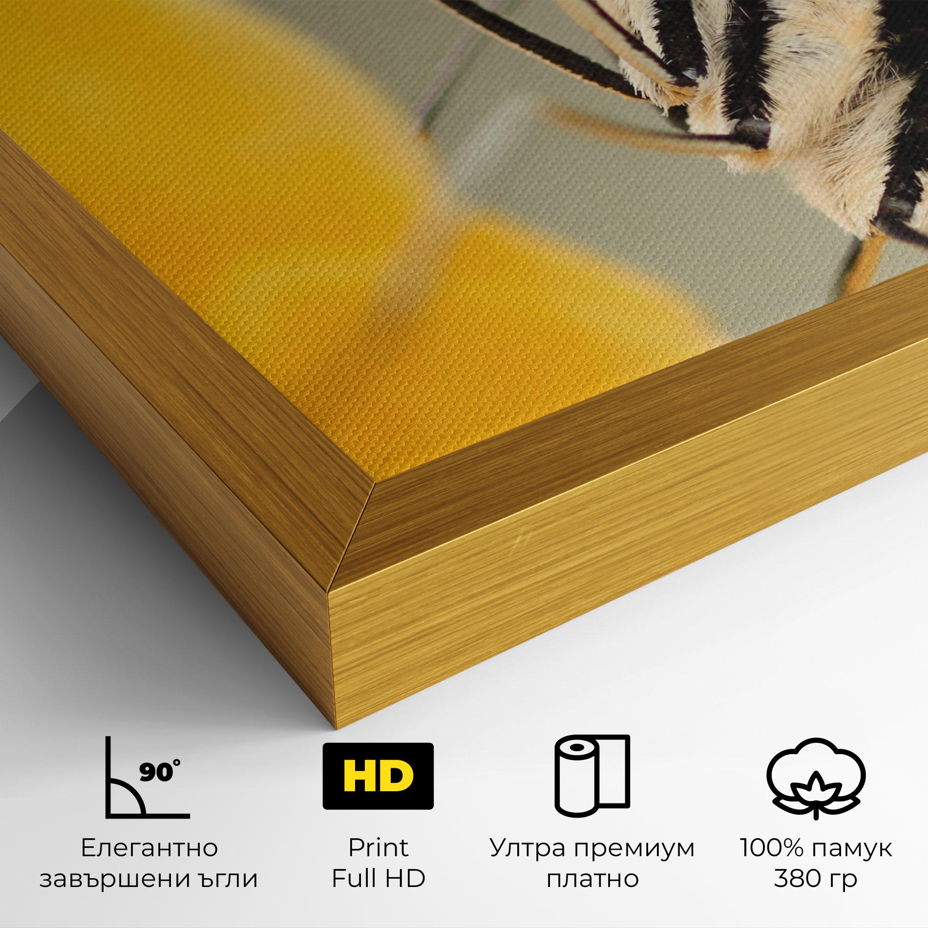 Картина на платно Close Up Cream Butterfly mockup 4