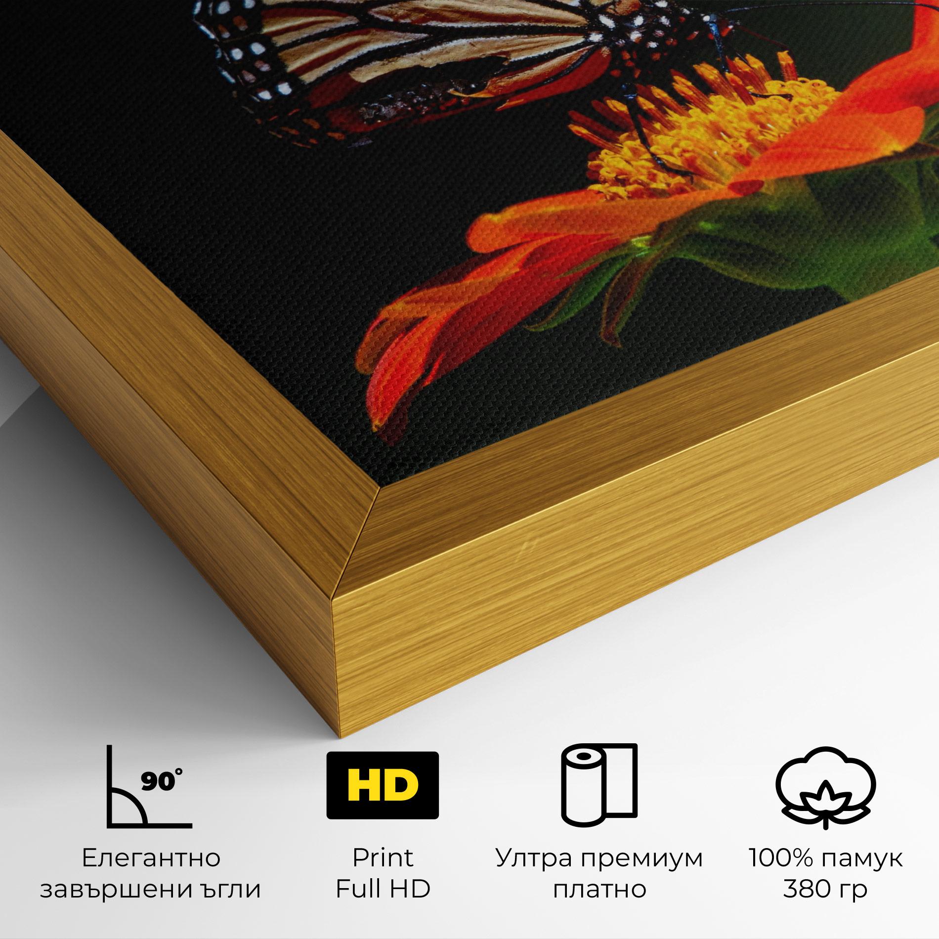 Картина на платно Dark Orange Butterfy mockup 4