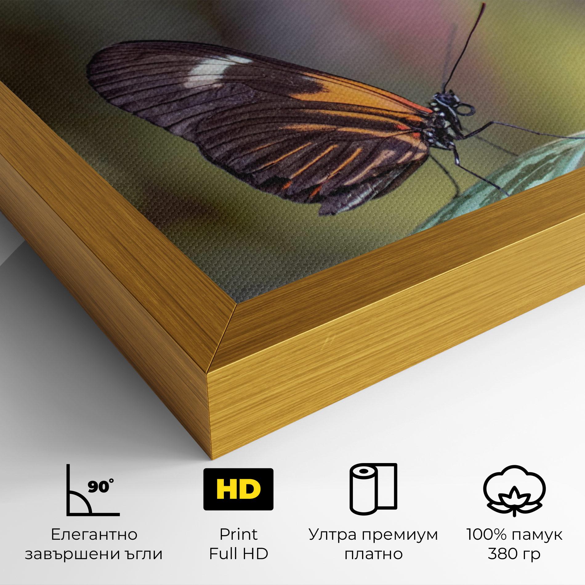 Картина на платно Dark Purple Butterfly mockup 4