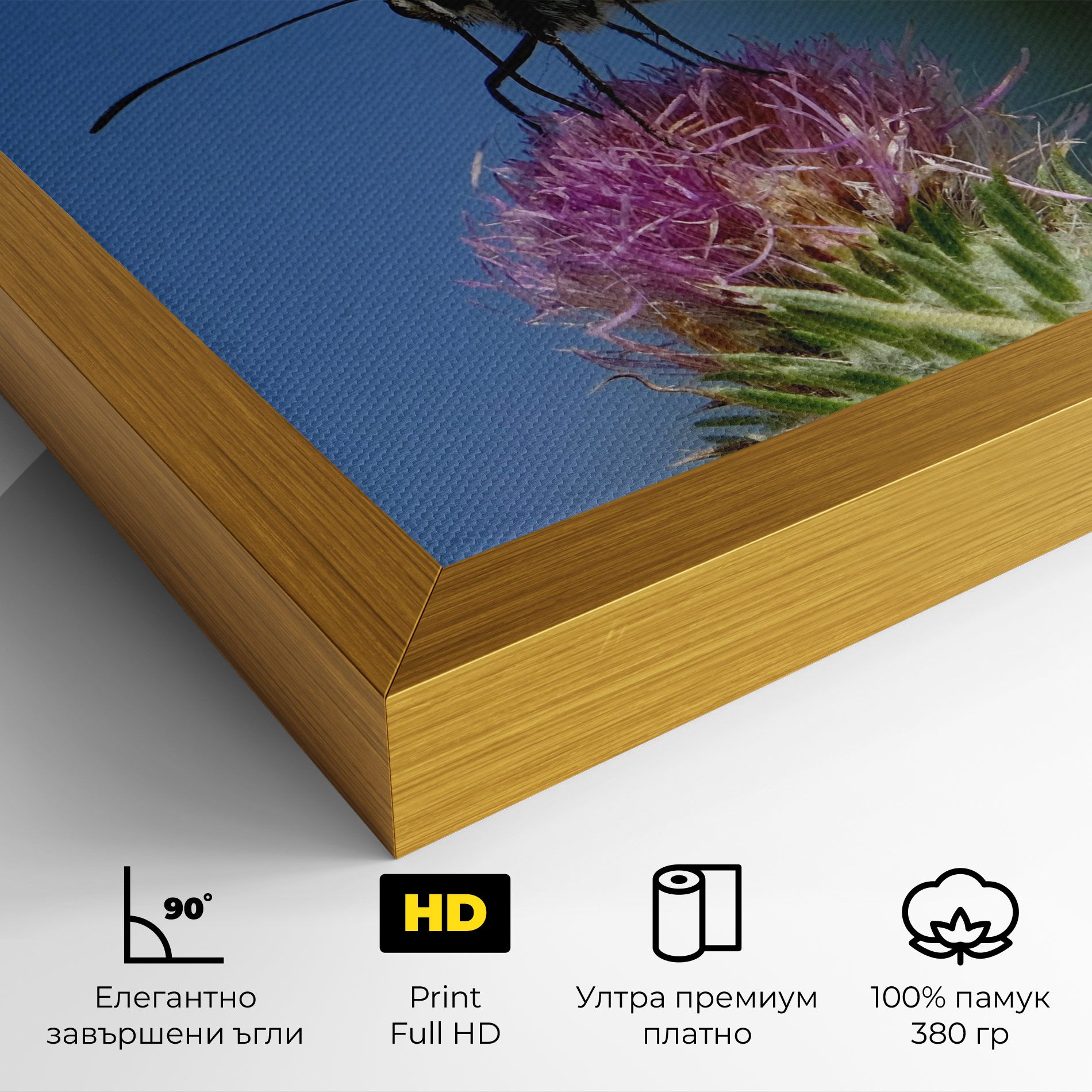 Grey White Butterfly mockup 4