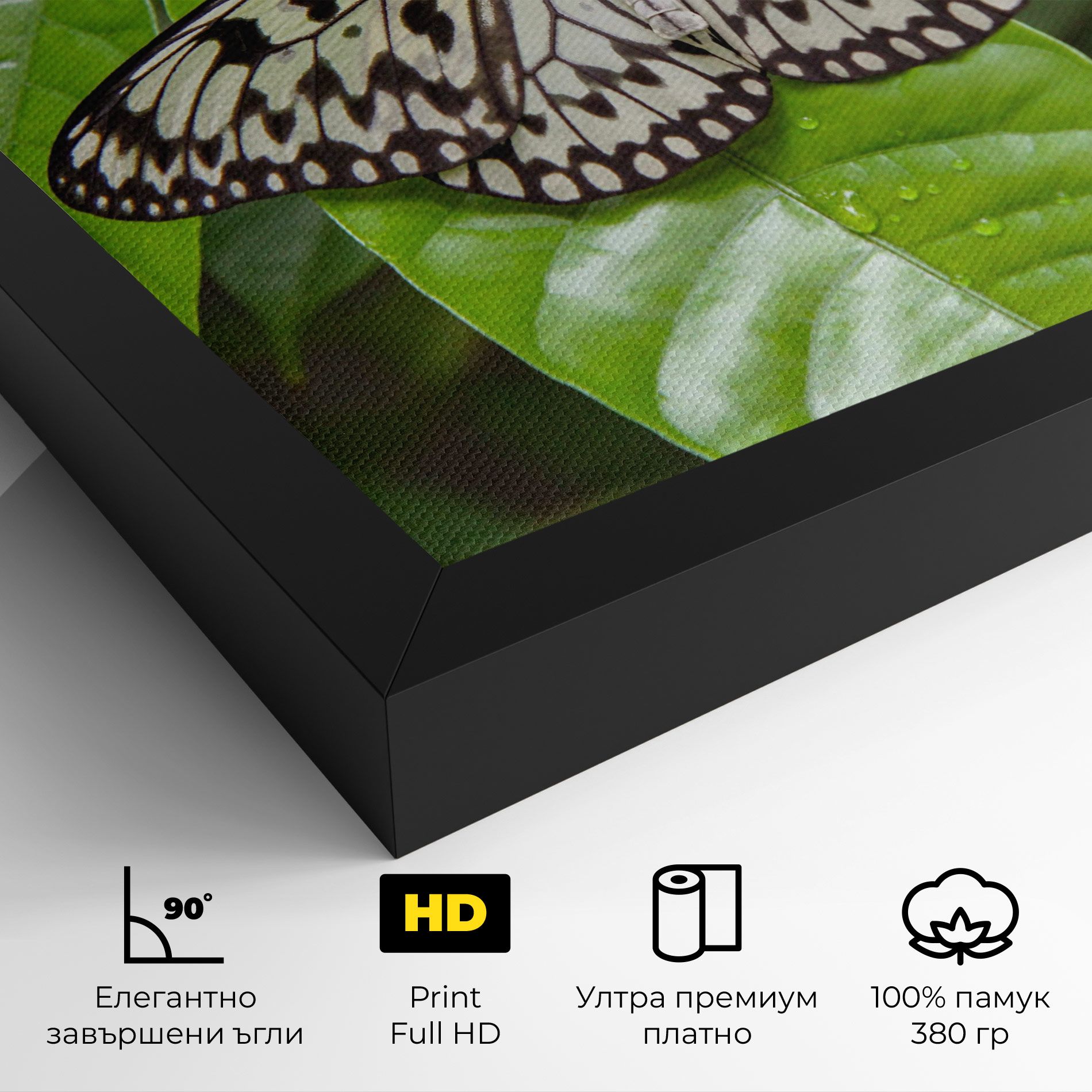 Beautiful White Butterfly mockup 4