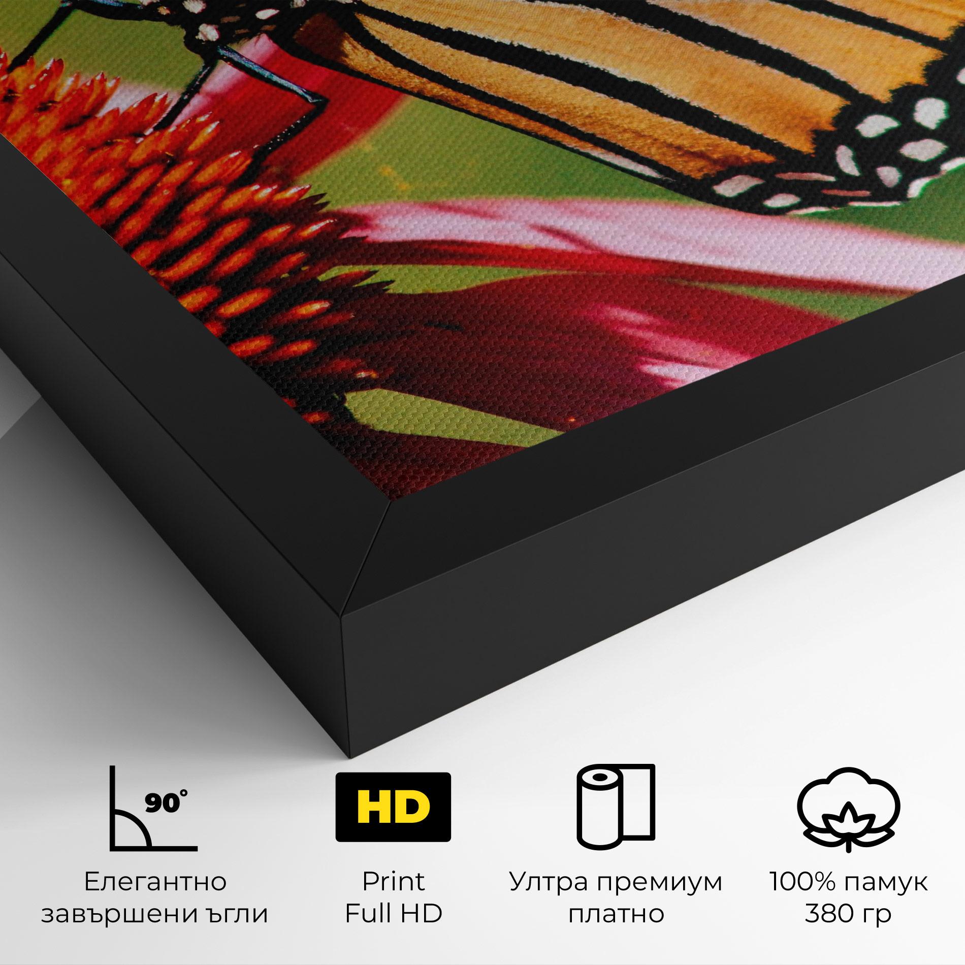 Картина на платно Big Orange Butterfly mockup 4