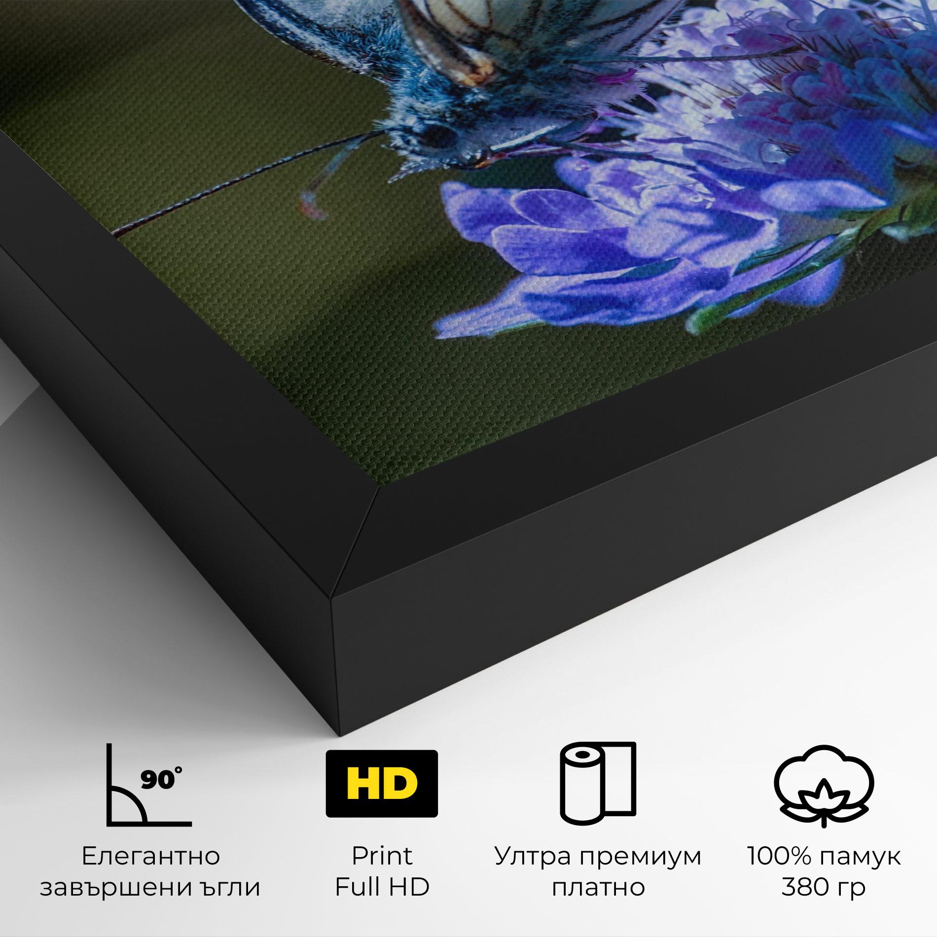 Картина на платно Blue Butterfly In Nature mockup 4