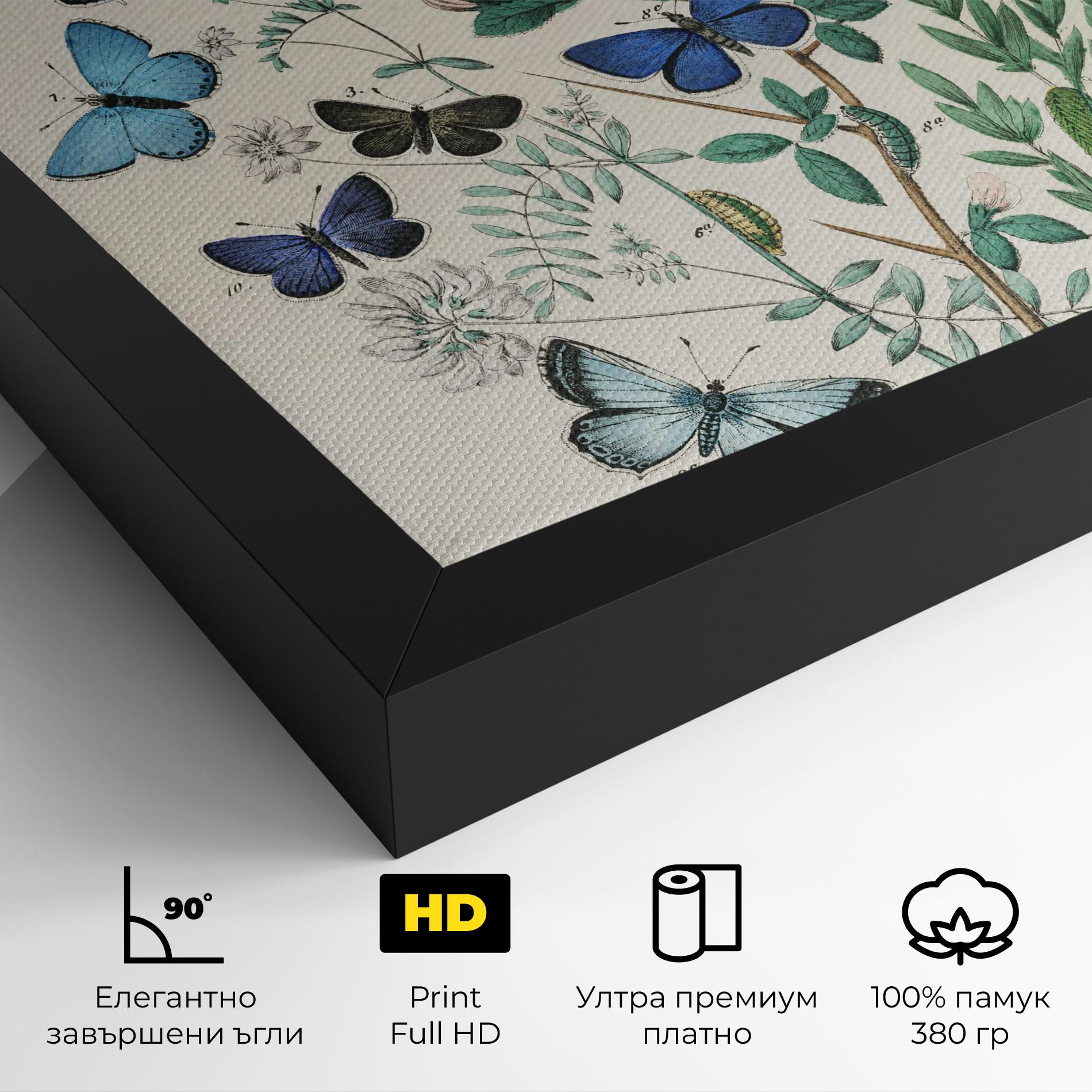 Картина на платно Blue Orange Butterflies mockup 4