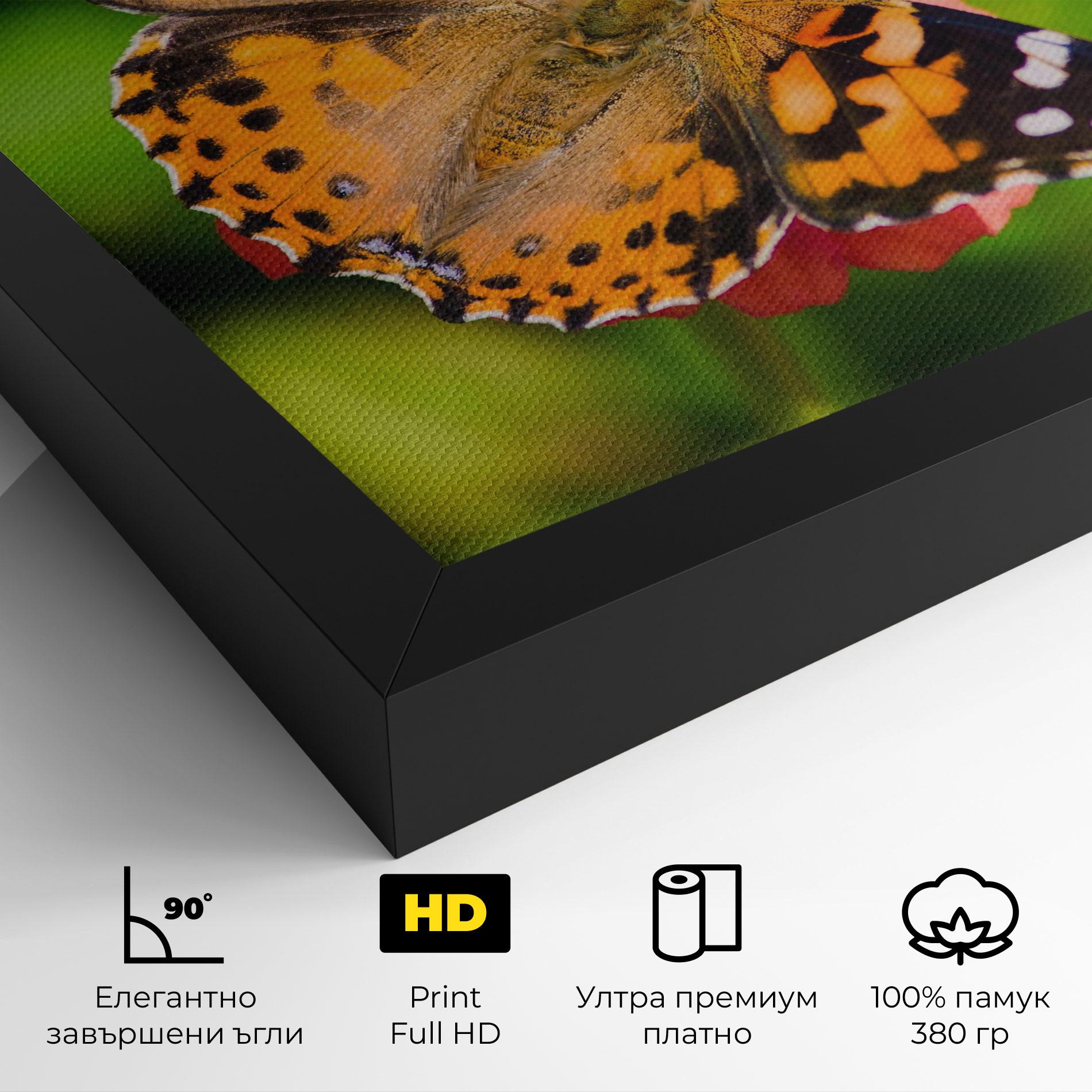 Картина на платно Butterfly On Flower mockup 4