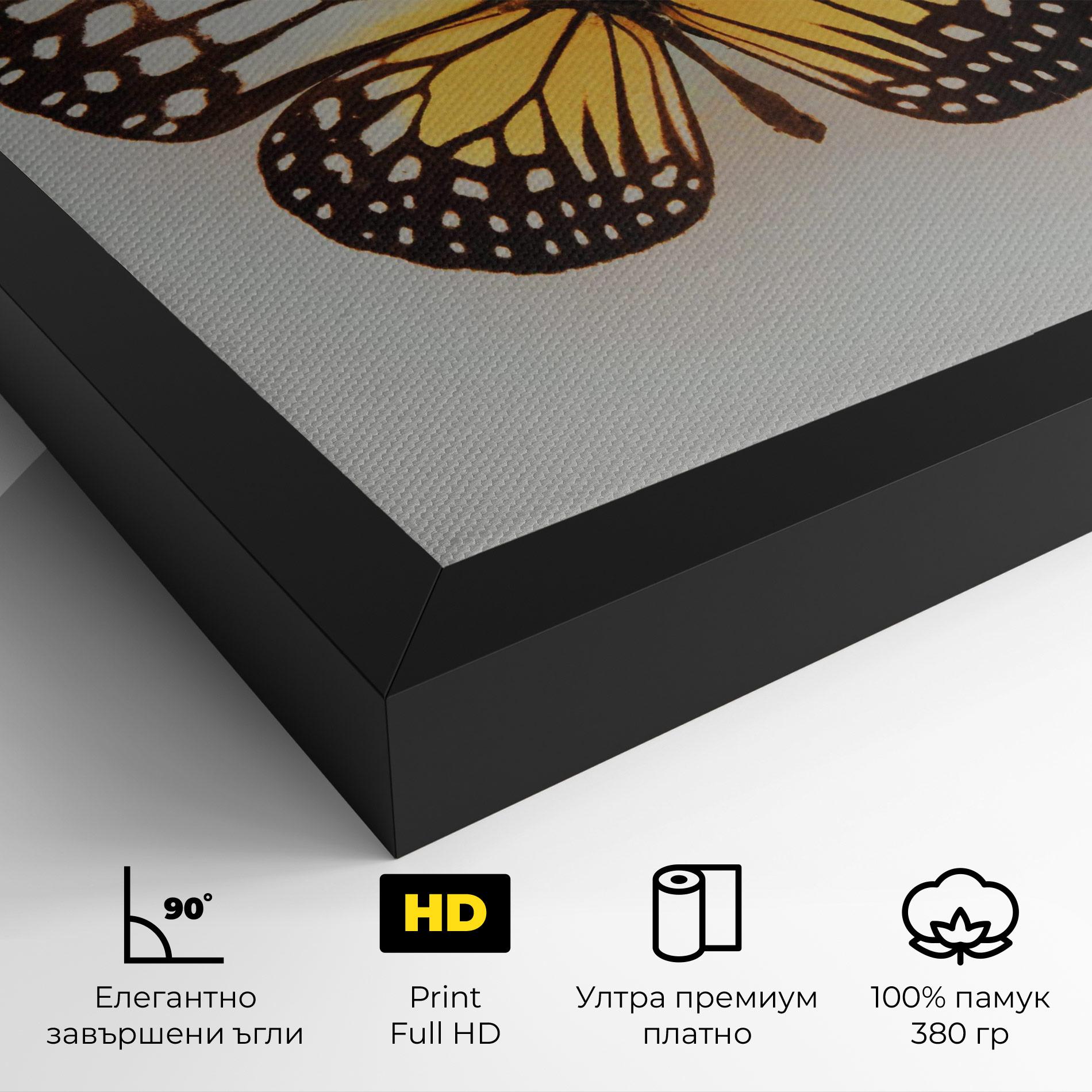Картина на платно Butterfly On Grey mockup 4