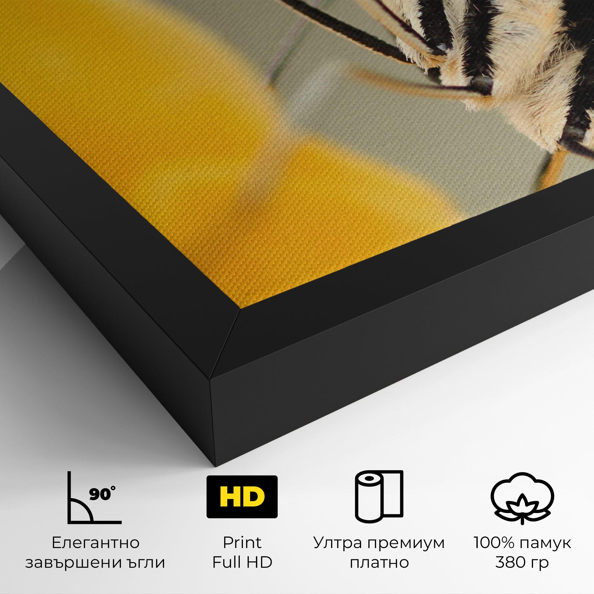 Картина на платно Close Up Cream Butterfly mockup 4