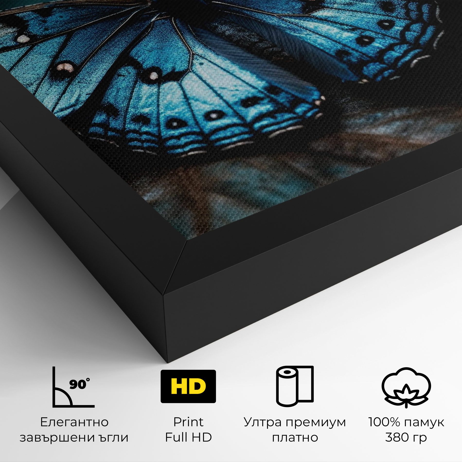 Dark Blue Buterfly mockup 4