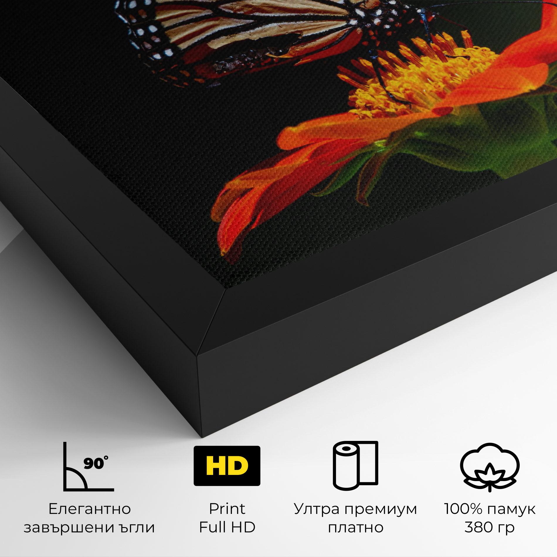 Картина на платно Dark Orange Butterfy mockup 4