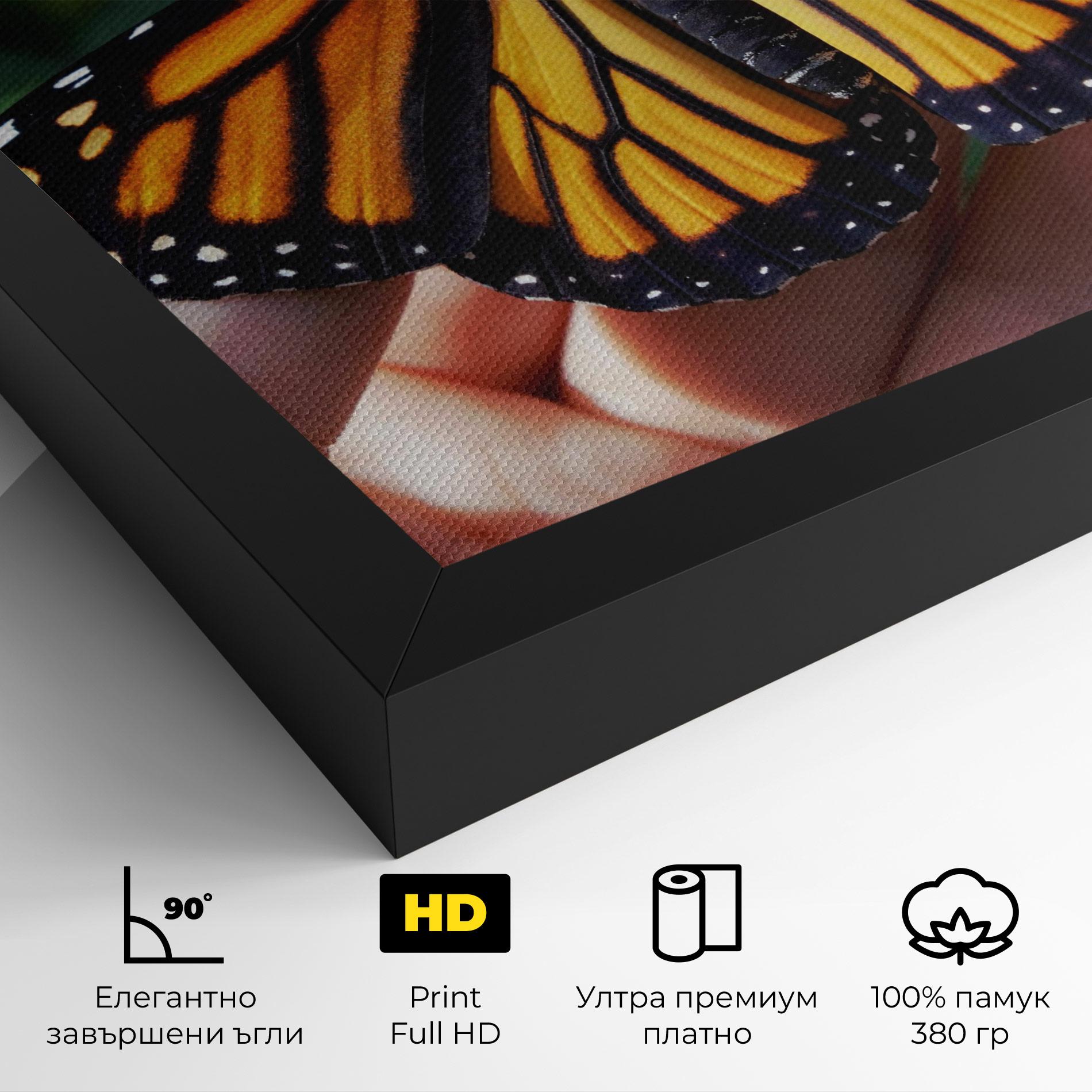 Картина на платно Open Orange Butterfly mockup 4