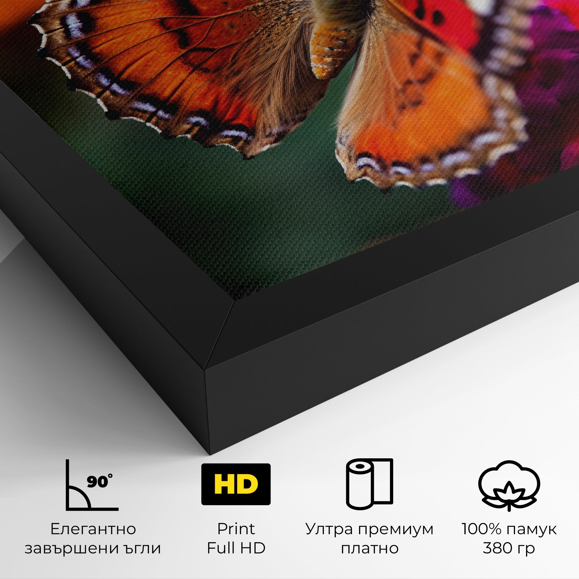 Red Blue Butterfly mockup 4