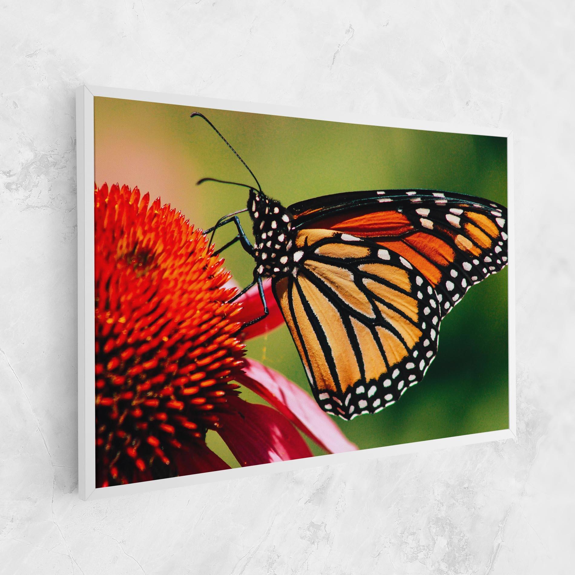 Картина на платно Big Orange Butterfly mockup 1