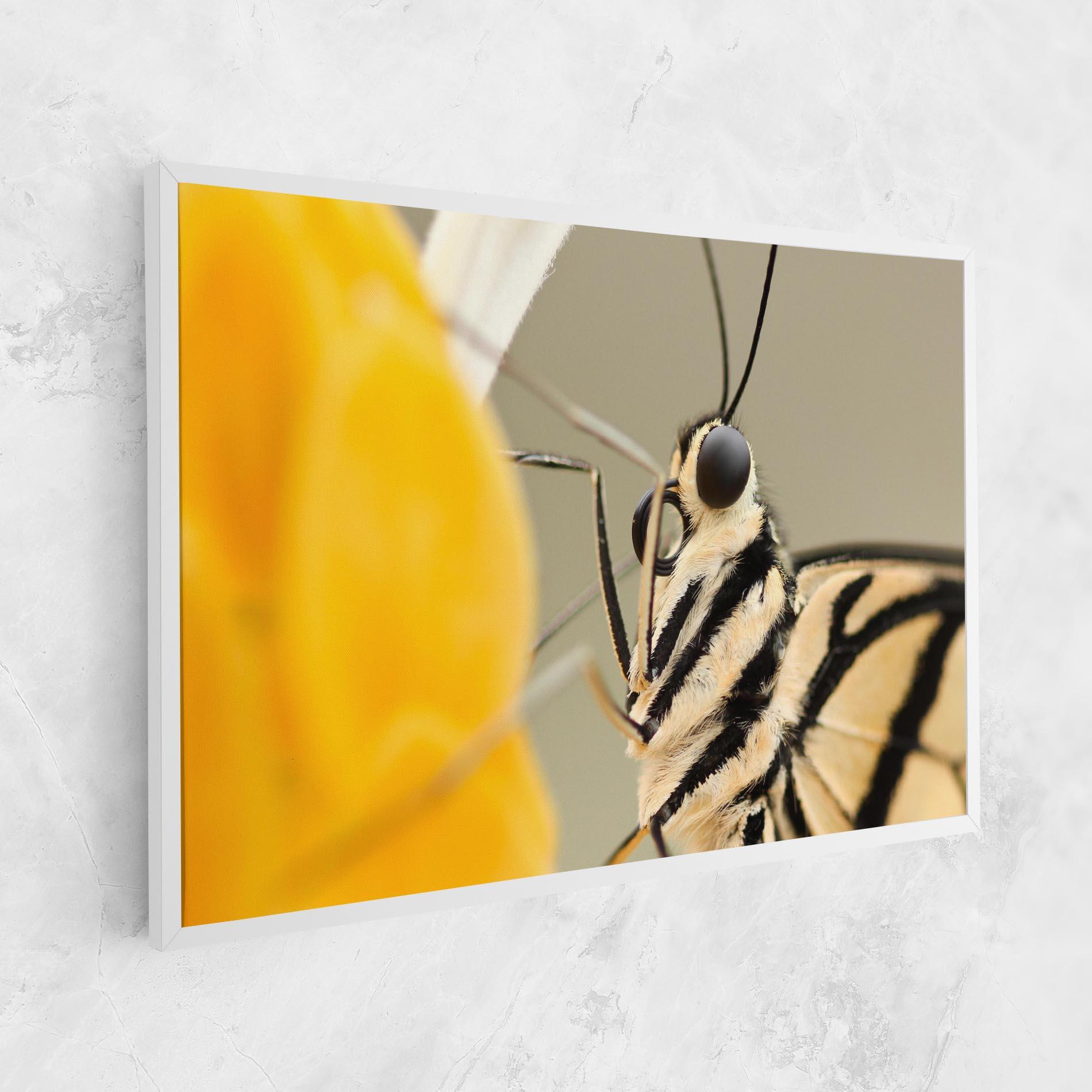 Картина на платно Close Up Cream Butterfly mockup 1