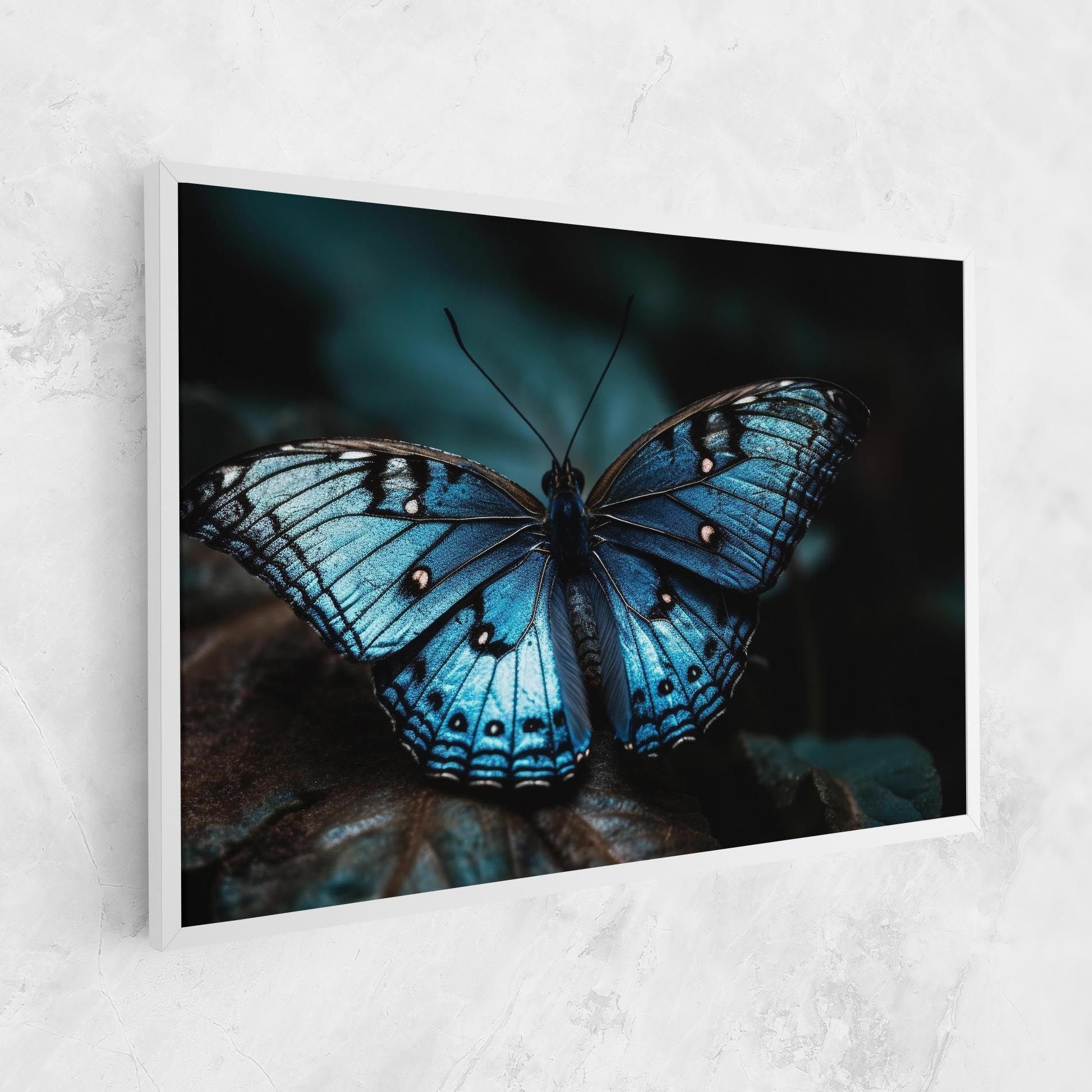 Dark Blue Buterfly mockup 1