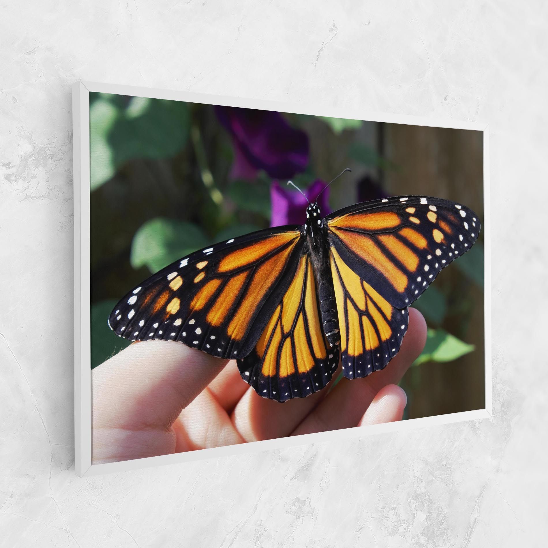 Open Orange Butterfly mockup 1