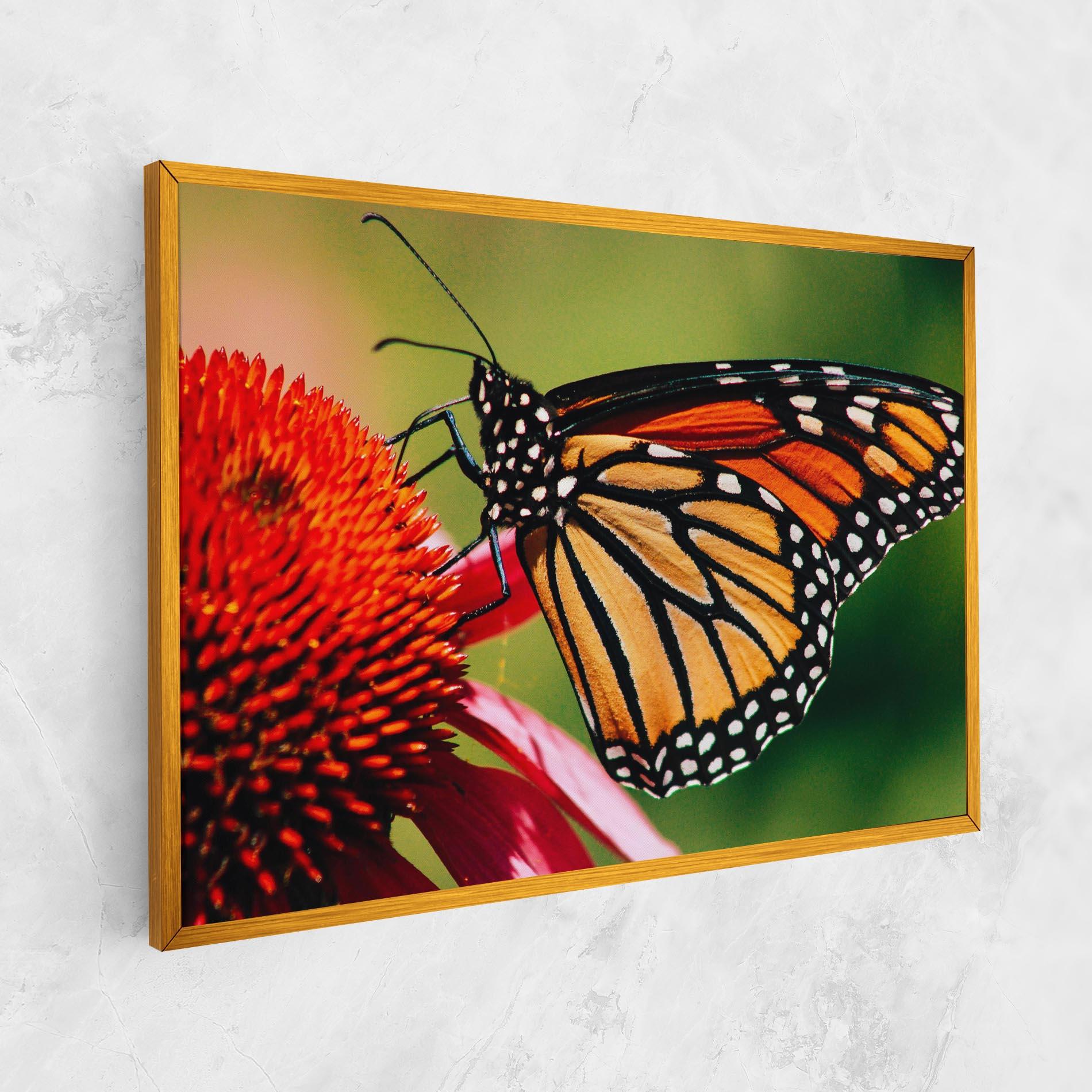 Картина на платно Big Orange Butterfly mockup 1