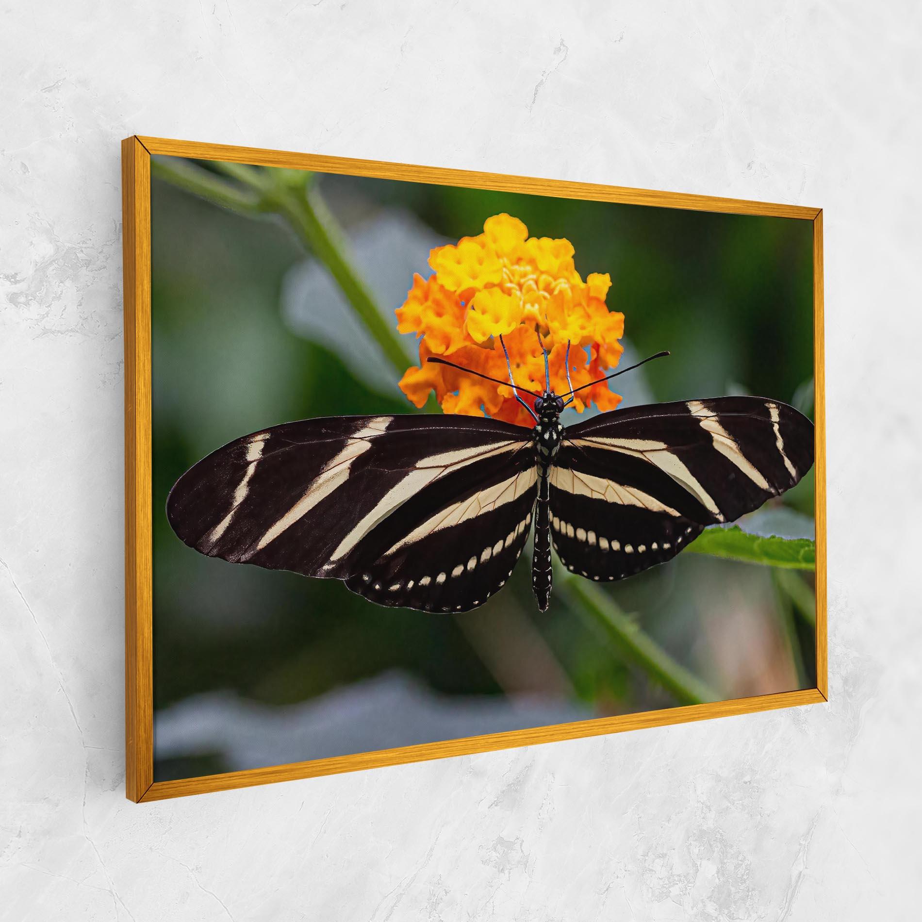 Картина на платно Big Wings Butterfly mockup 1