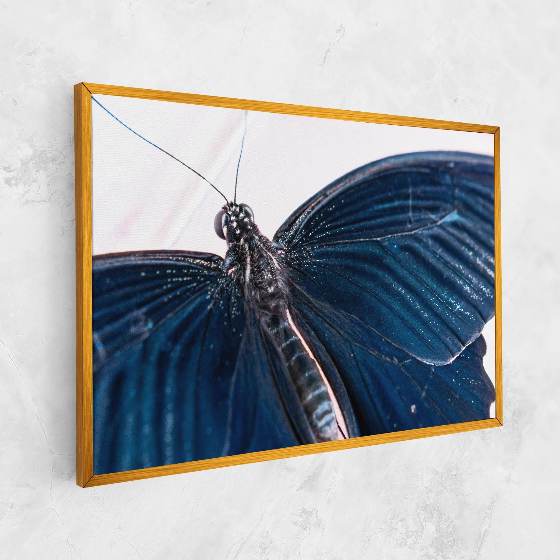 Blue Butterfly mockup 1
