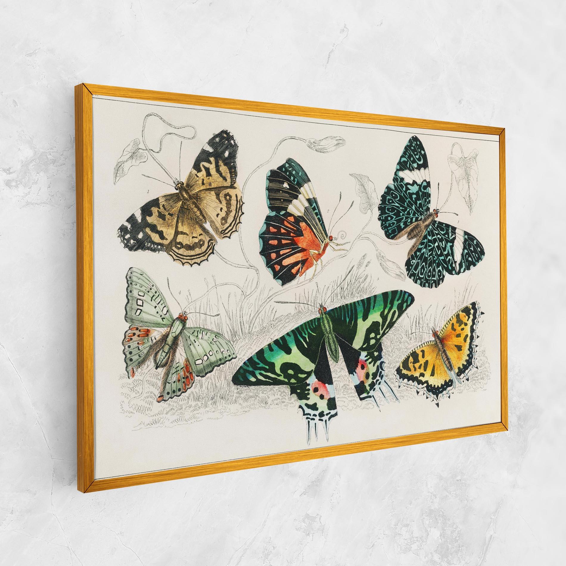 Картина на платно Butterfly Art mockup 1