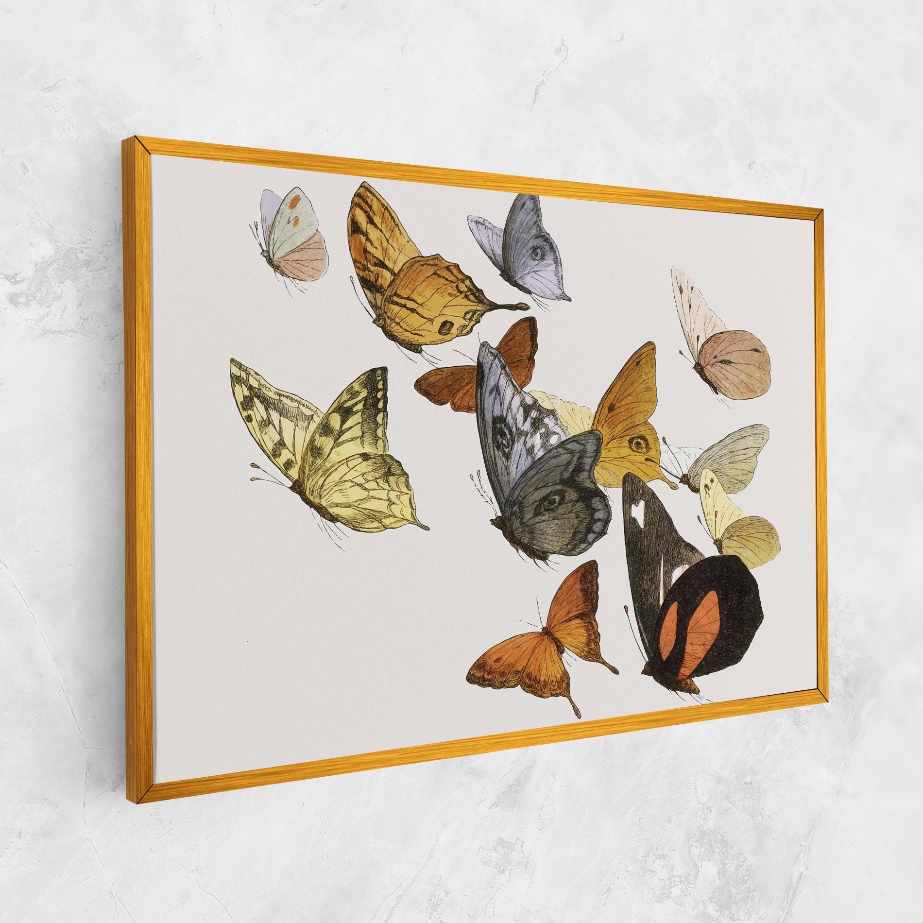 Butterfly Floating mockup 1