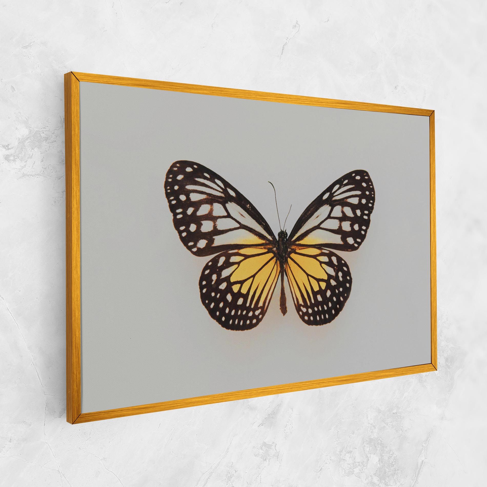 Butterfly On Grey mockup 1