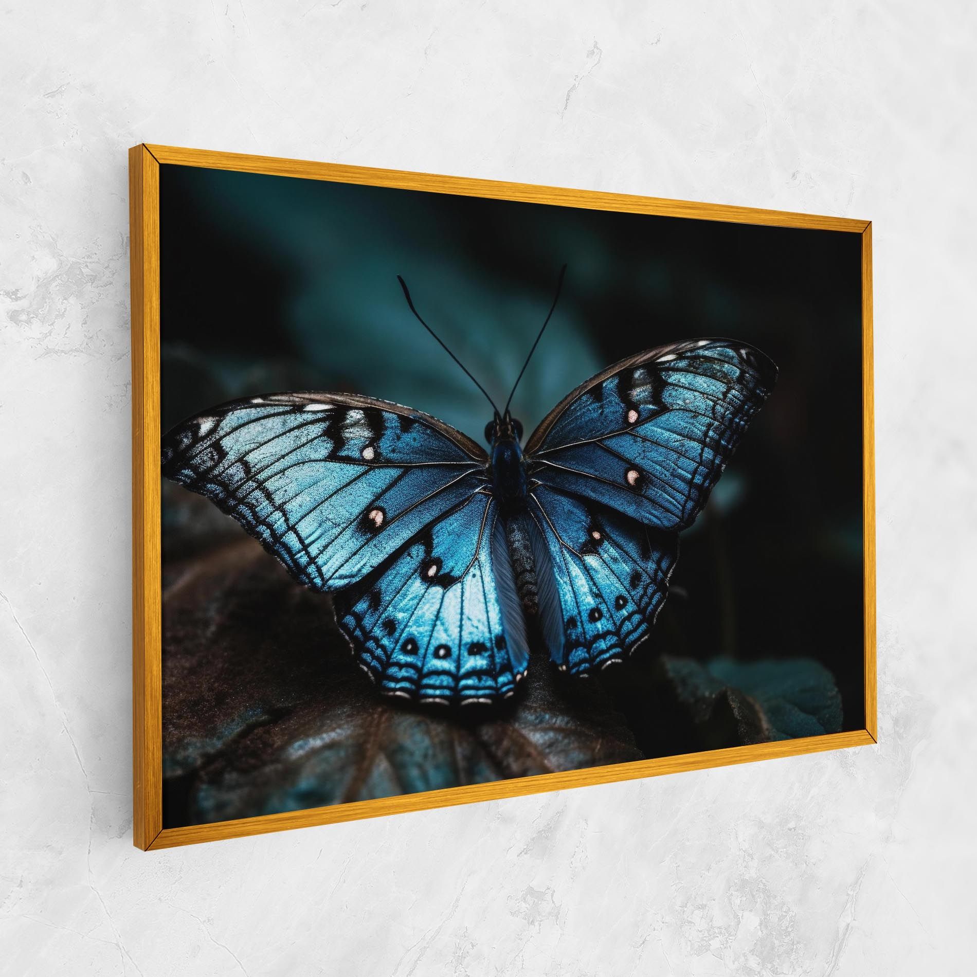 Dark Blue Buterfly mockup 1