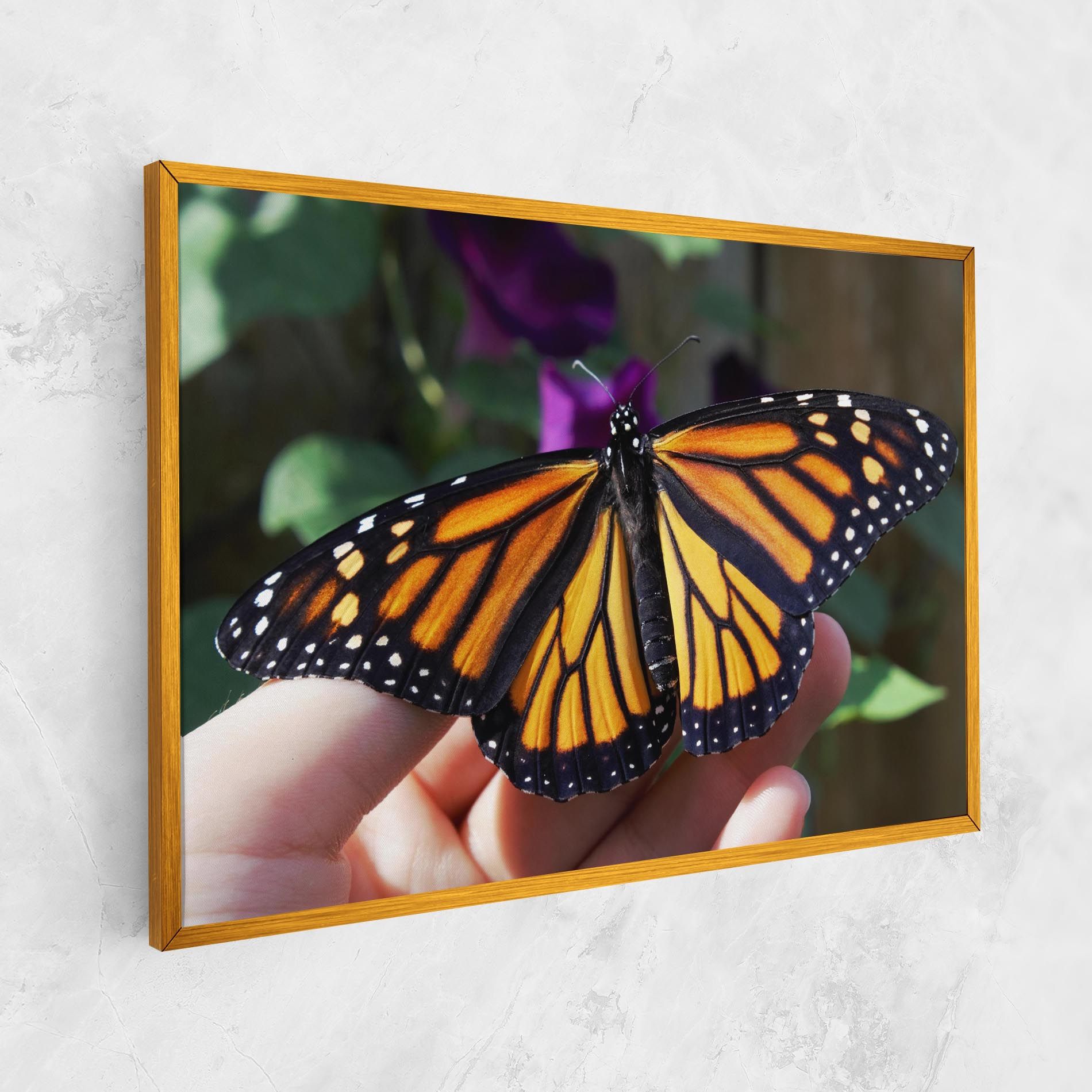 Open Orange Butterfly mockup 1