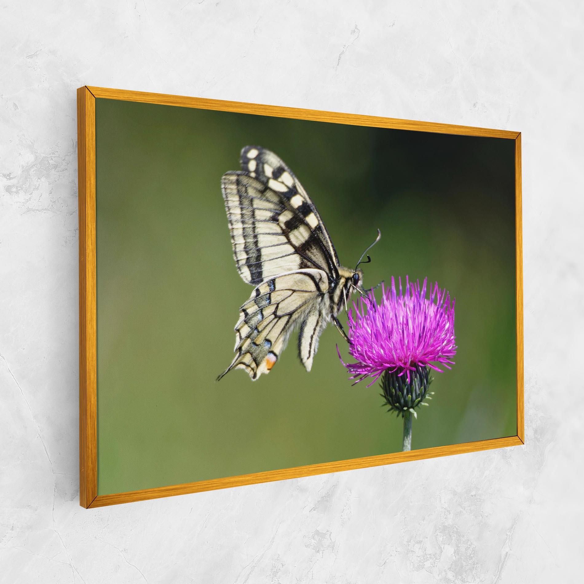 Картина на платно White Butterfly Pollen mockup 1