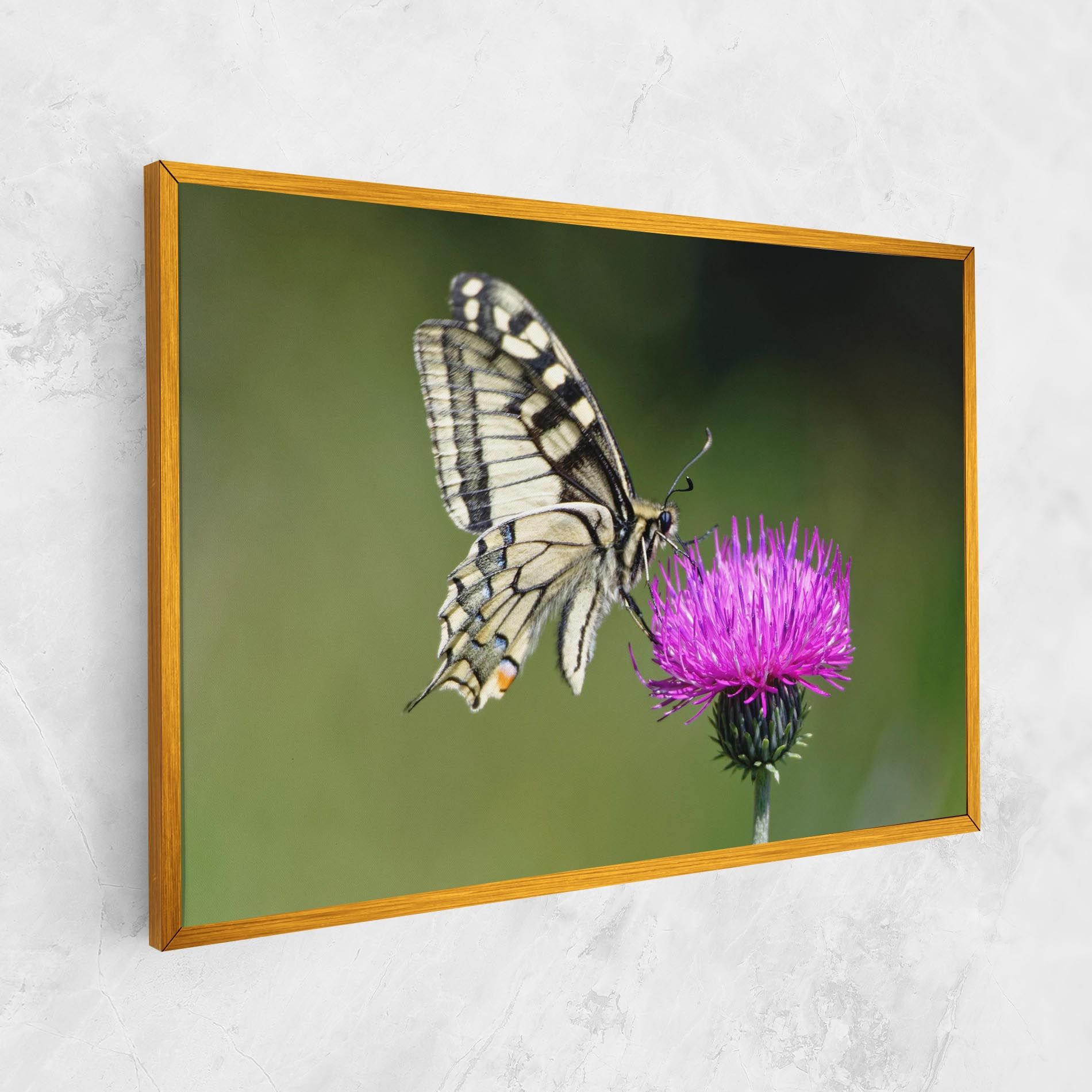 White Butterfly Pollen mockup 1