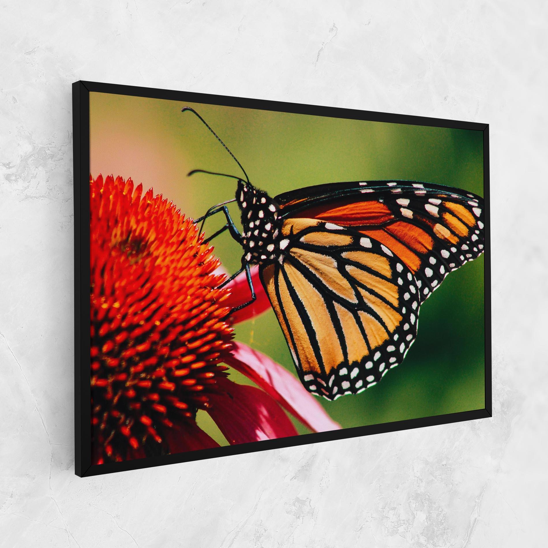 Картина на платно Big Orange Butterfly mockup 1