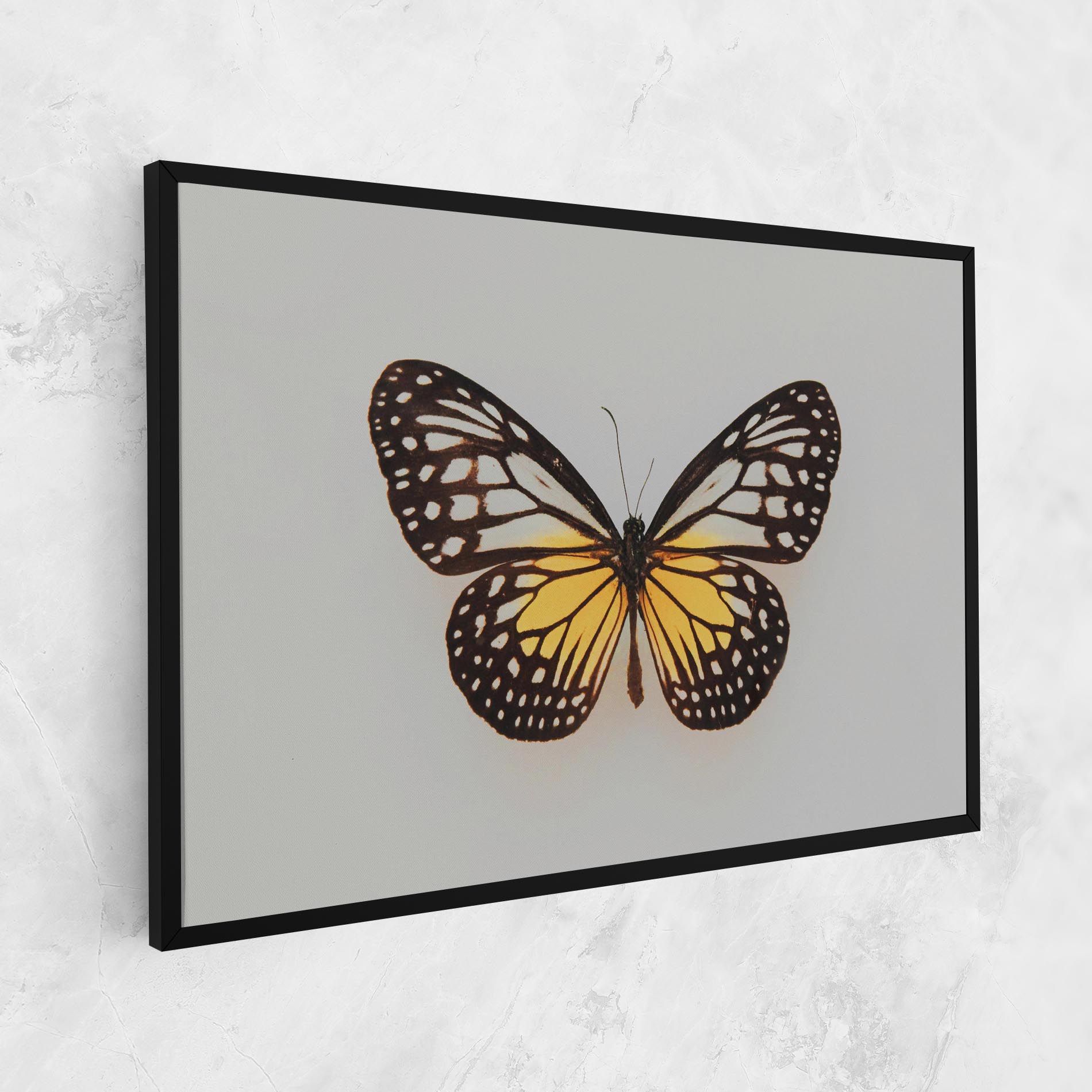 Butterfly On Grey mockup 1