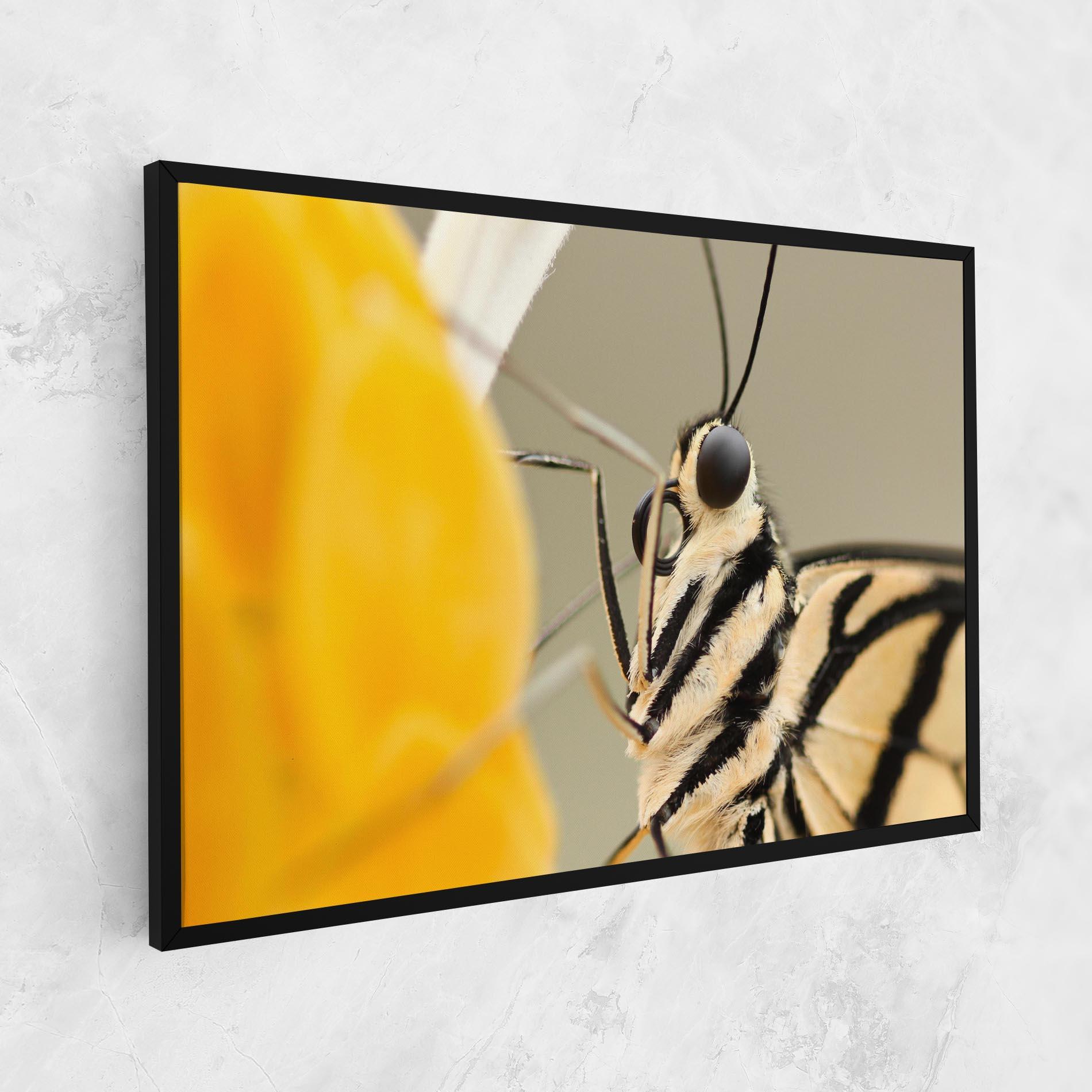 Картина на платно Close Up Cream Butterfly mockup 1