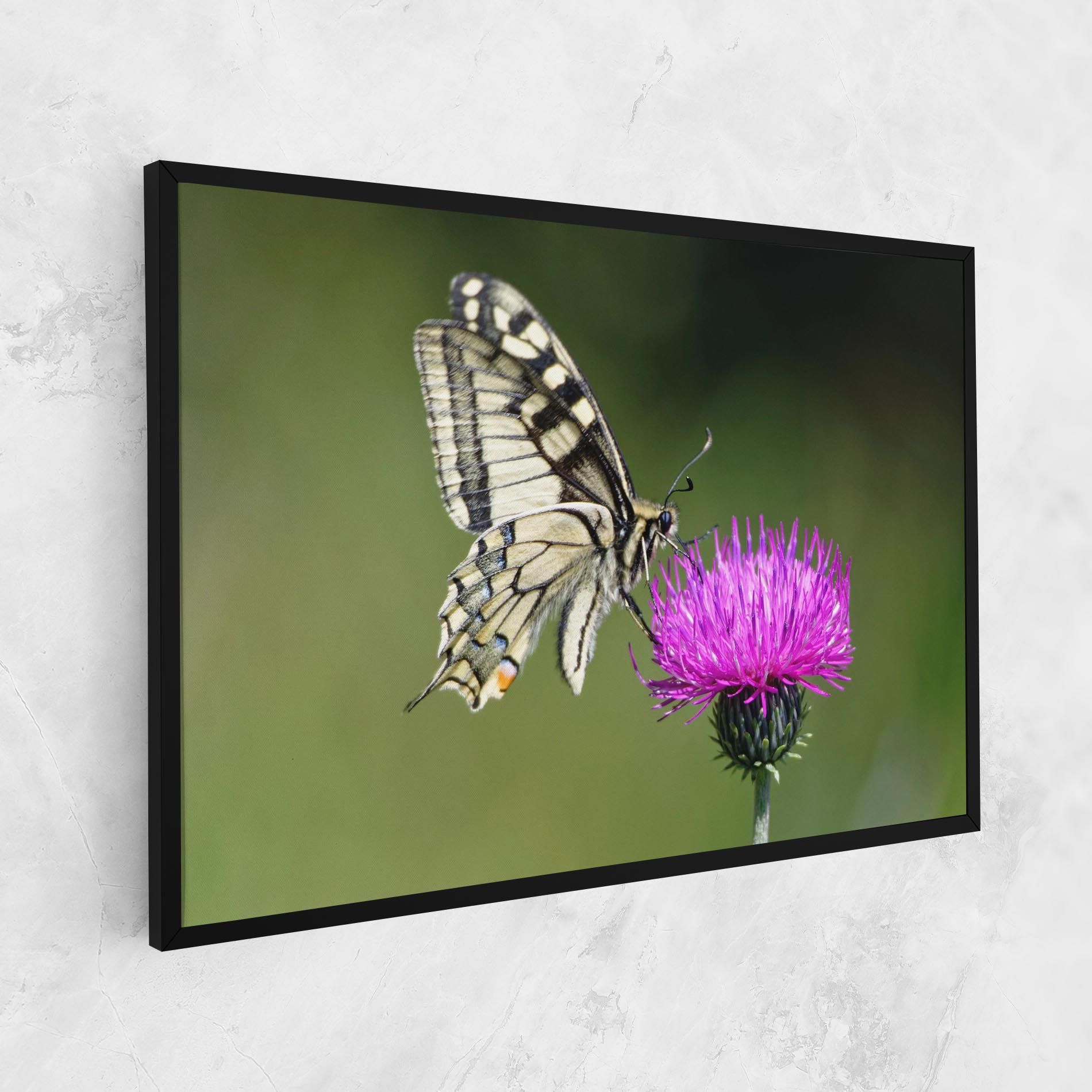 White Butterfly Pollen mockup 1