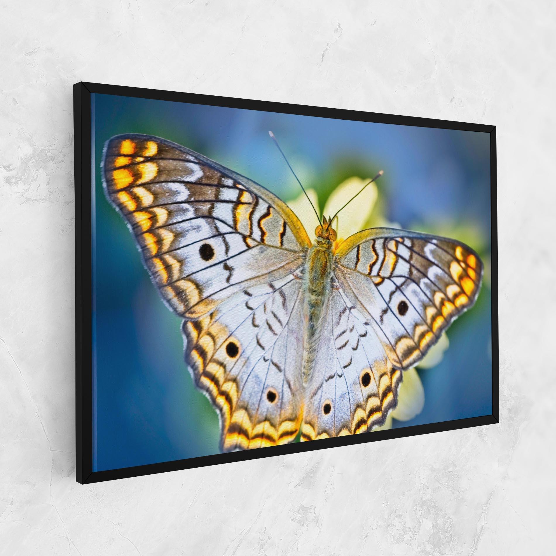 Картина на платно Yellow Grey Butterfly mockup 1