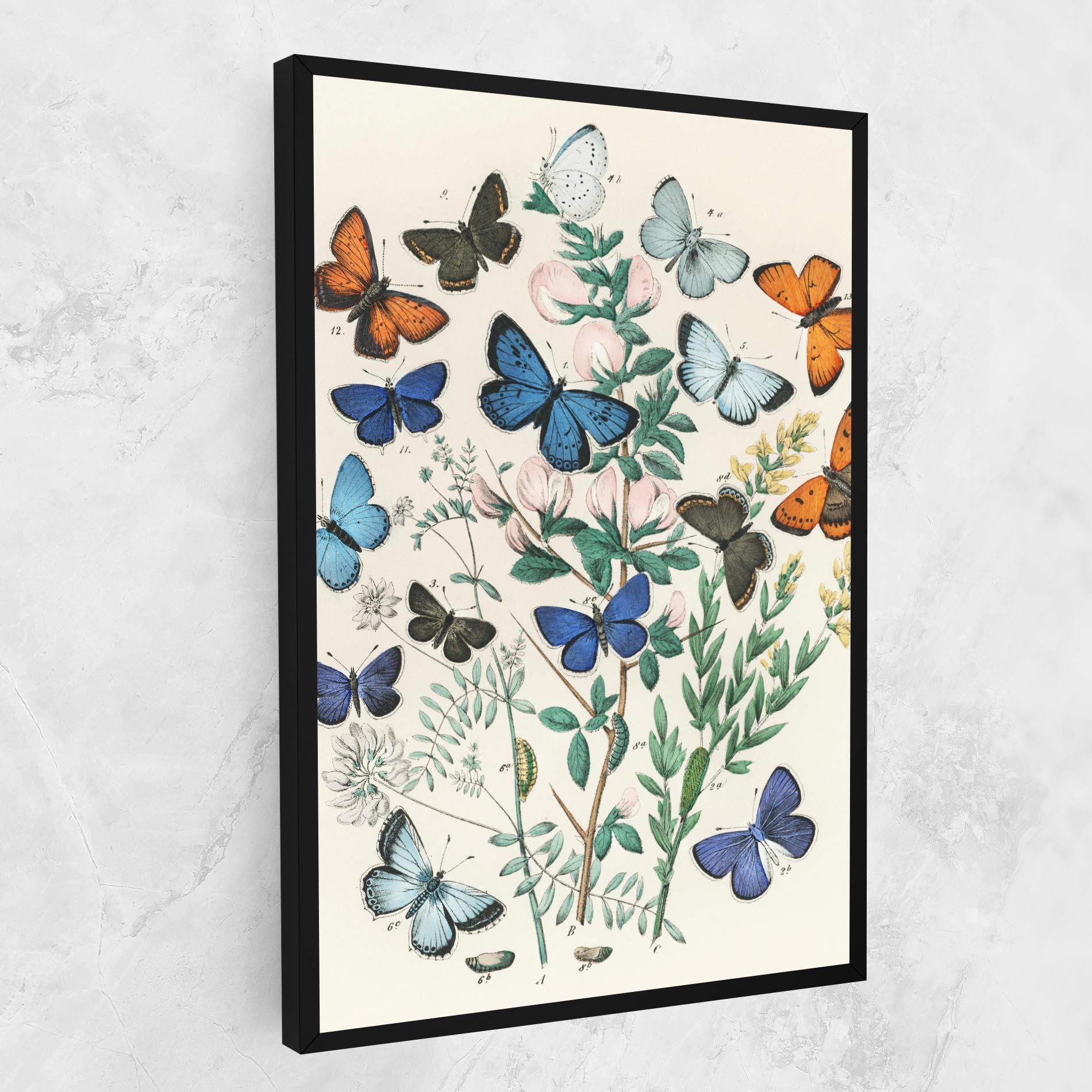 Картина на платно Blue Orange Butterflies mockup 1
