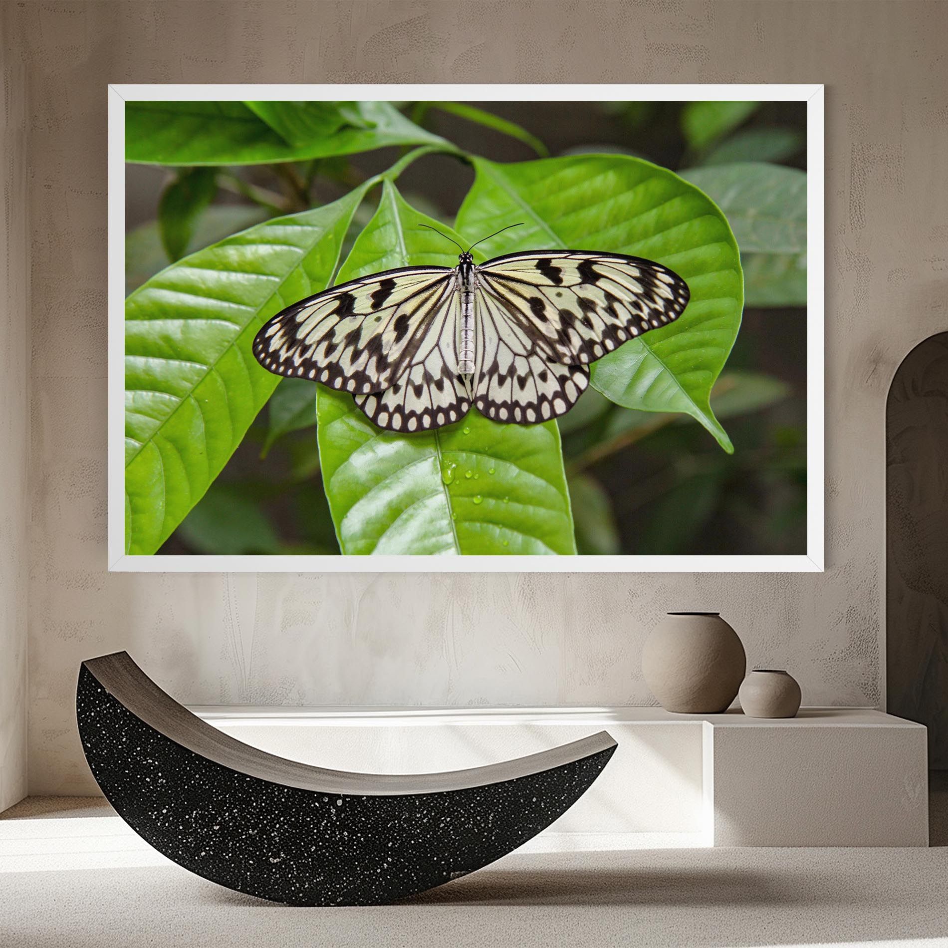 Beautiful White Butterfly mockup 8