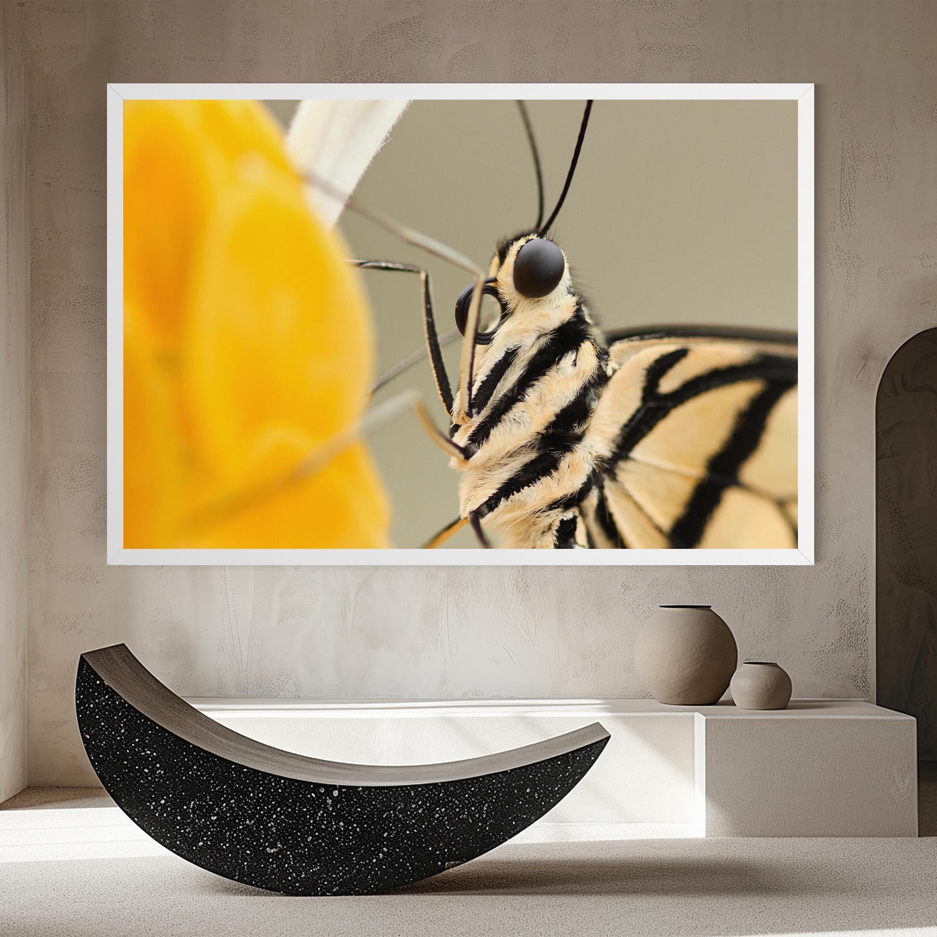 Картина на платно Close Up Cream Butterfly mockup 8