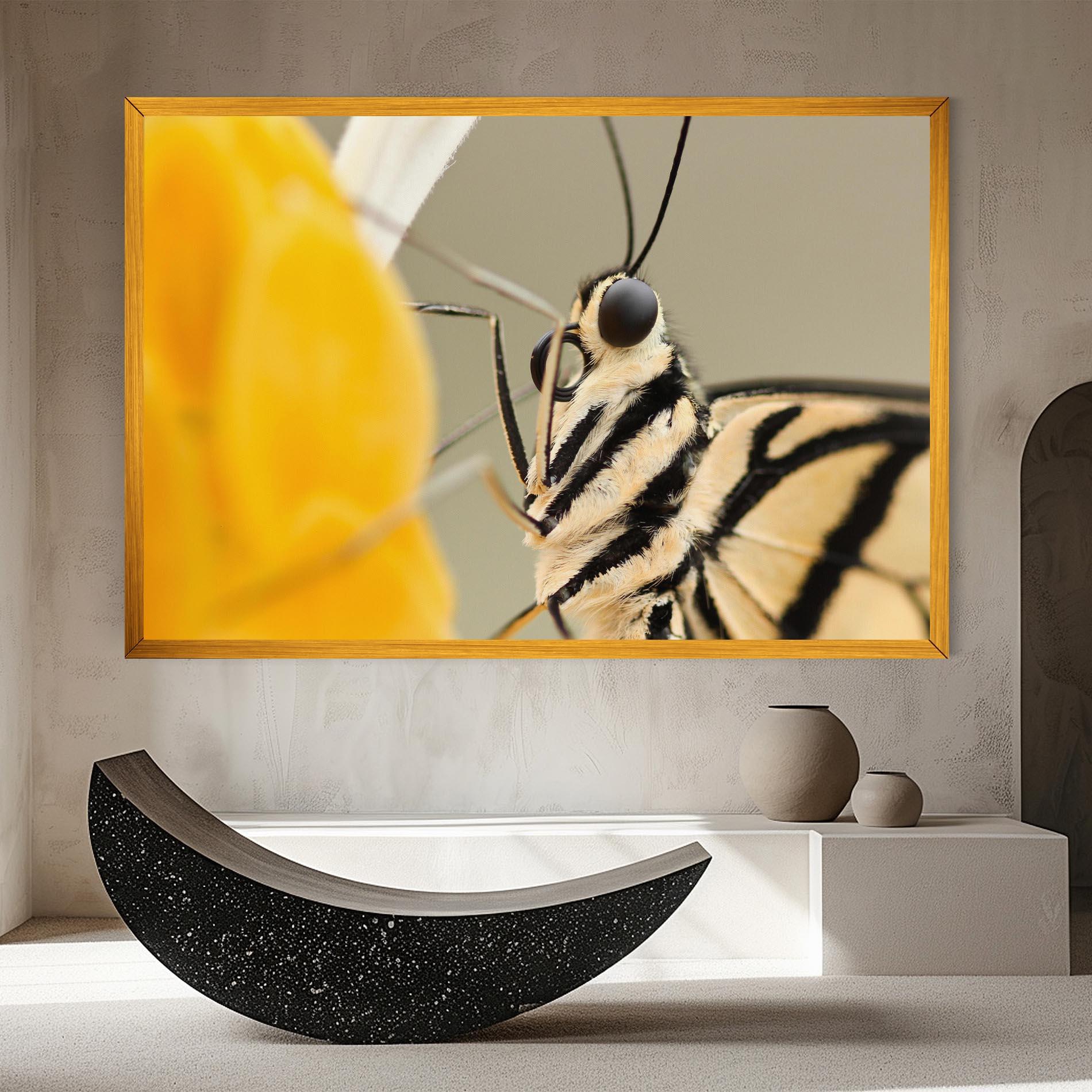 Картина на платно Close Up Cream Butterfly mockup 8