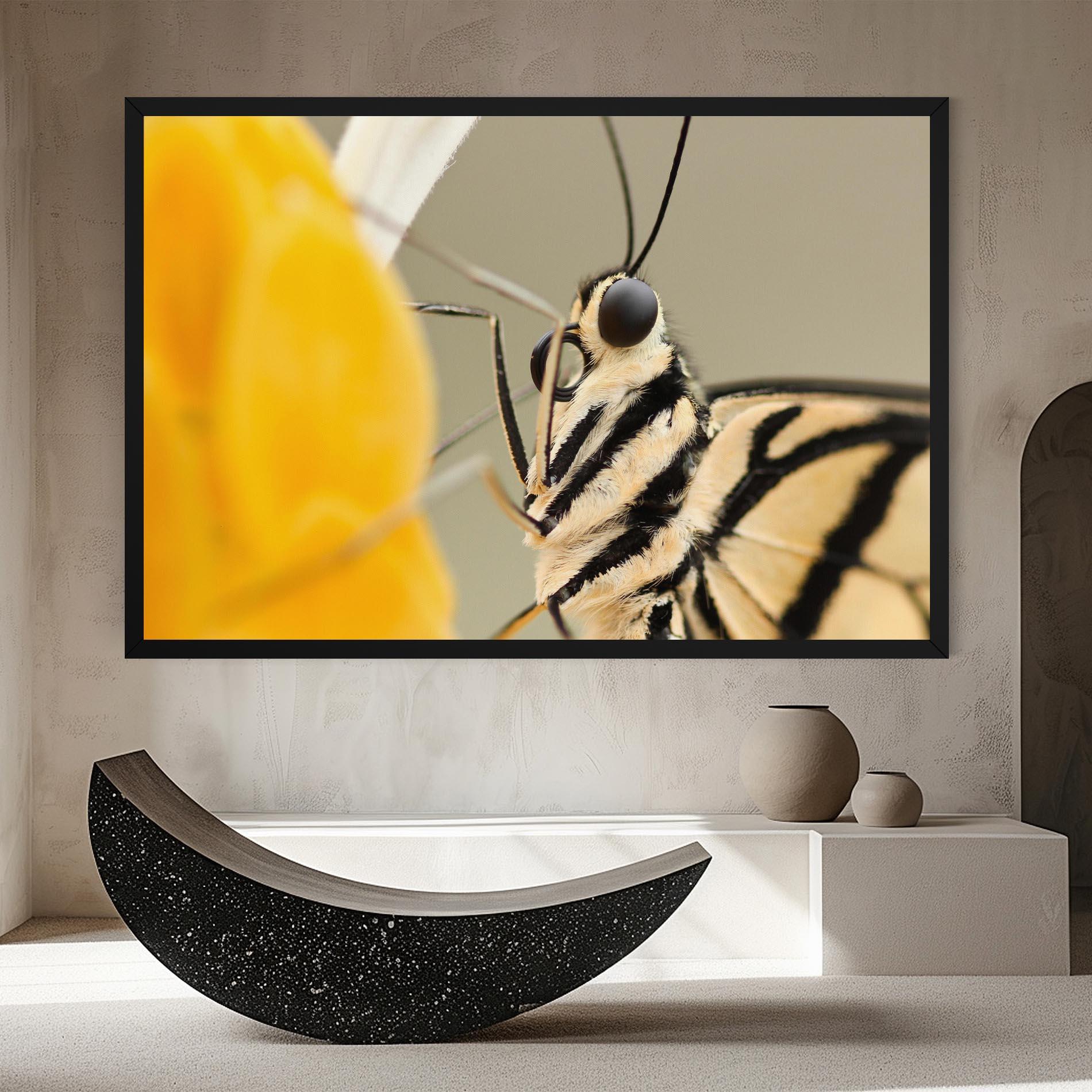 Картина на платно Close Up Cream Butterfly mockup 8