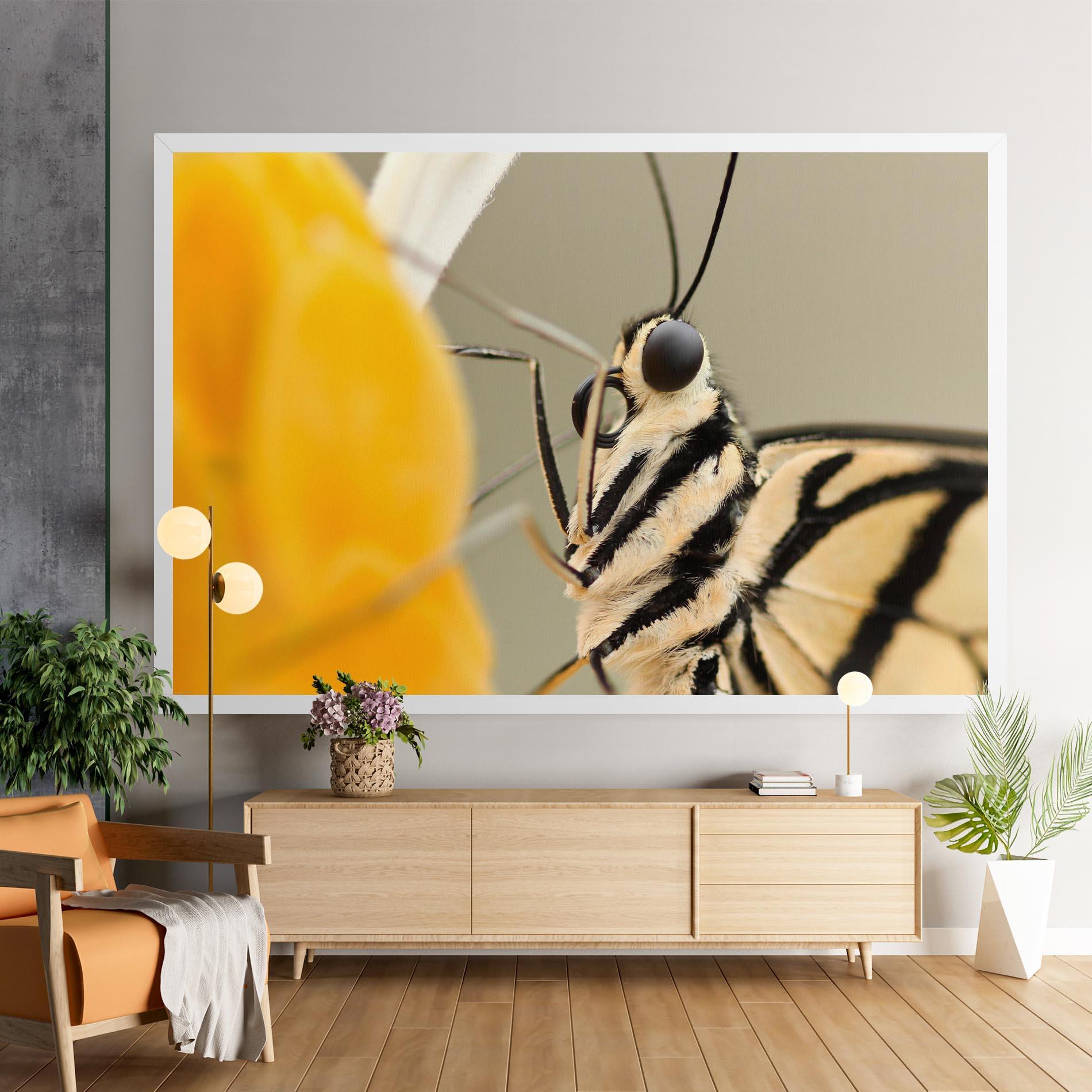 Картина на платно Close Up Cream Butterfly mockup 9