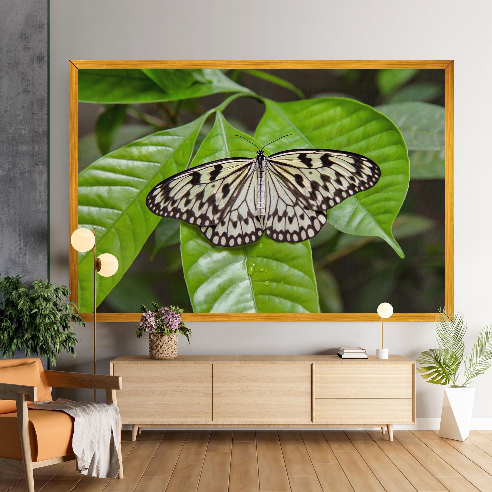 Картина на платно Beautiful White Butterfly mockup 9