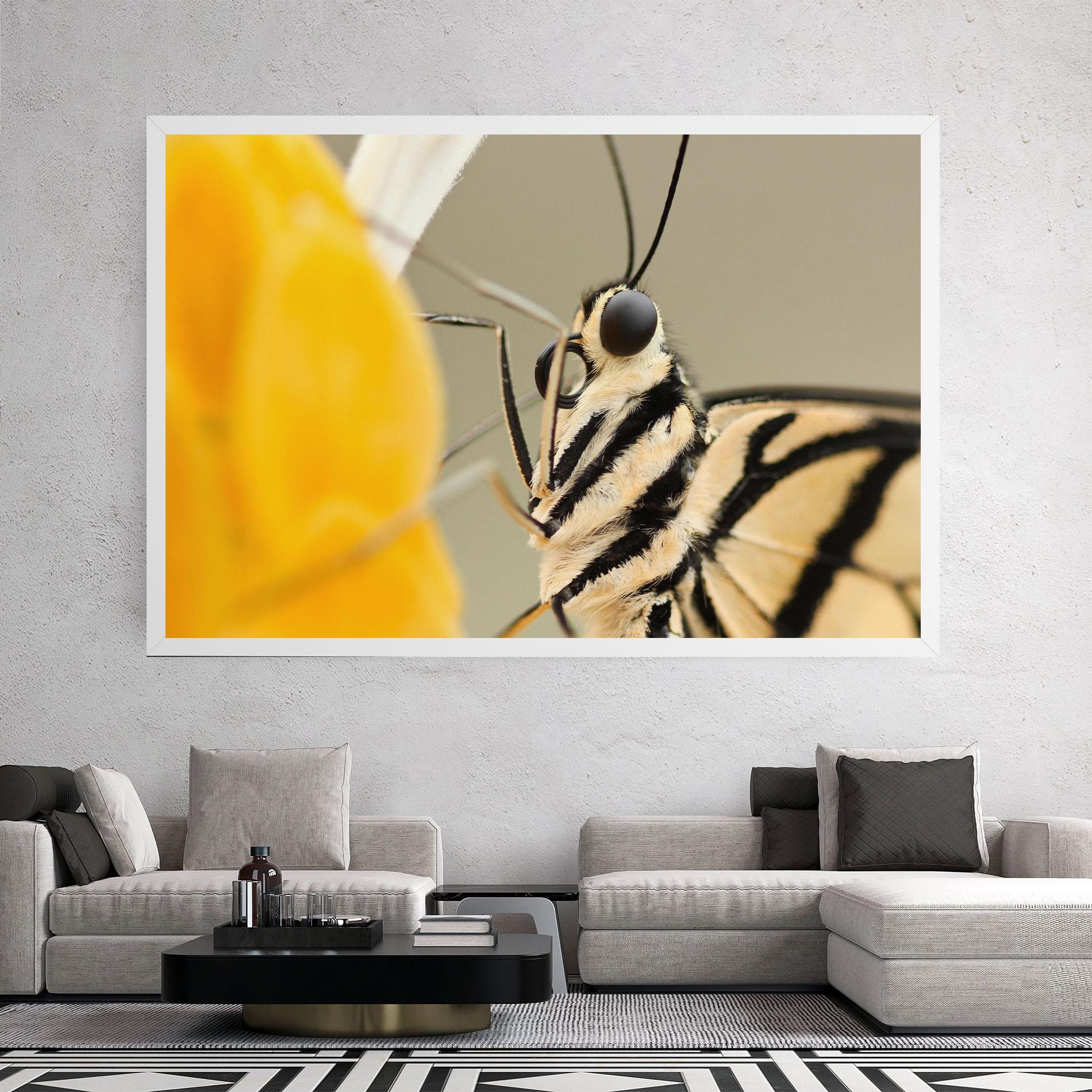 Картина на платно Close Up Cream Butterfly mockup 2