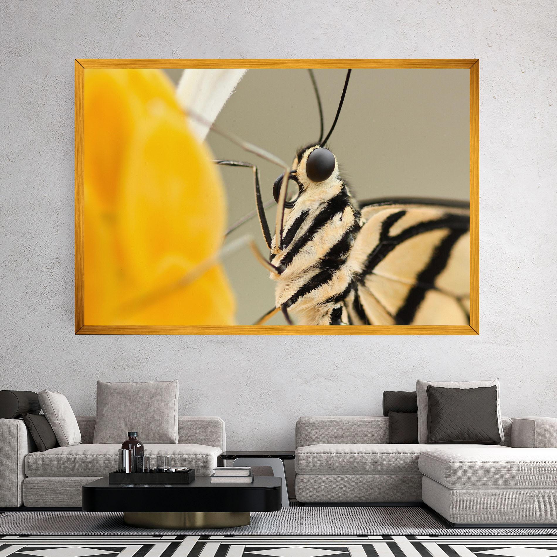 Картина на платно Close Up Cream Butterfly mockup 2