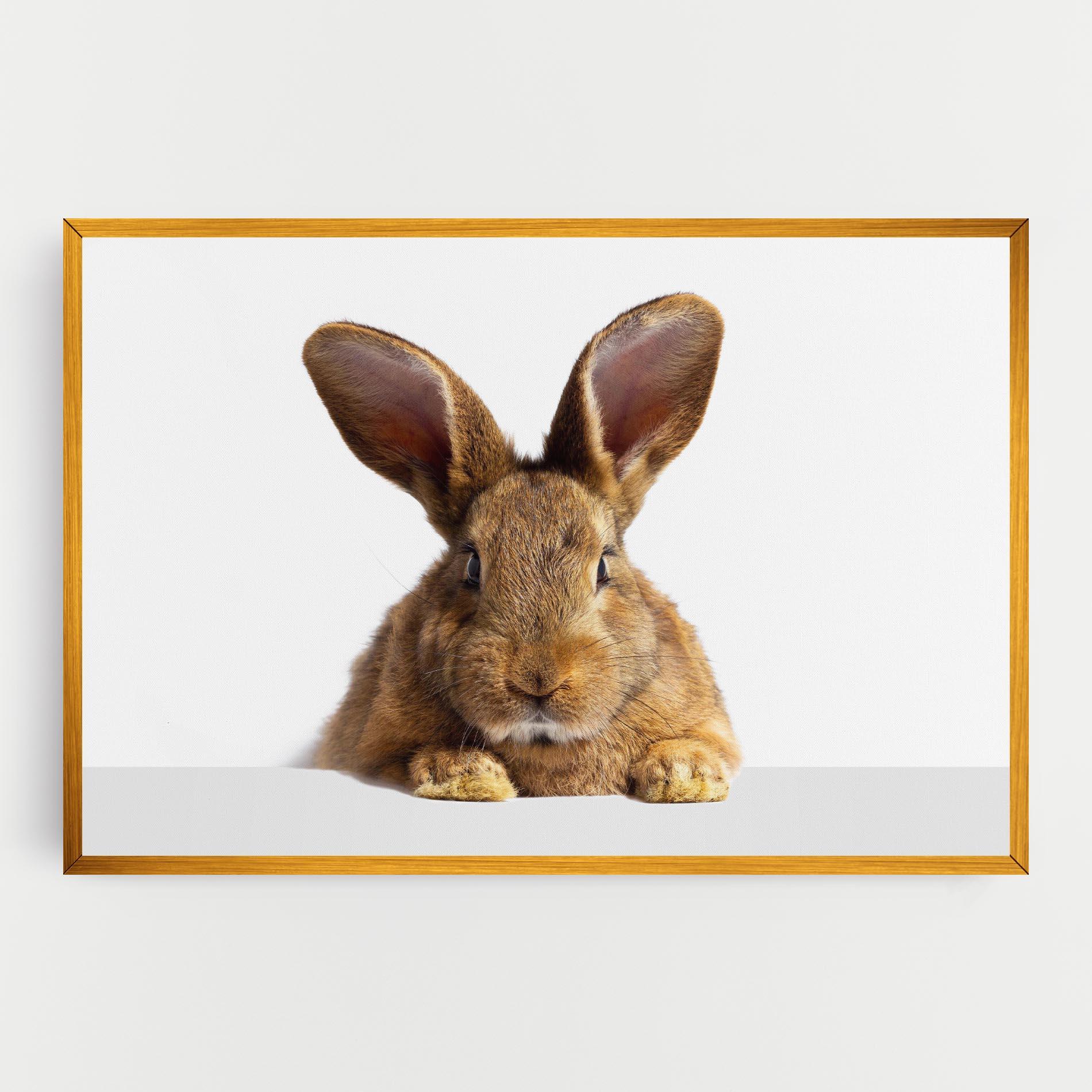Картина на платно Brown Cute Bunny mockup 0