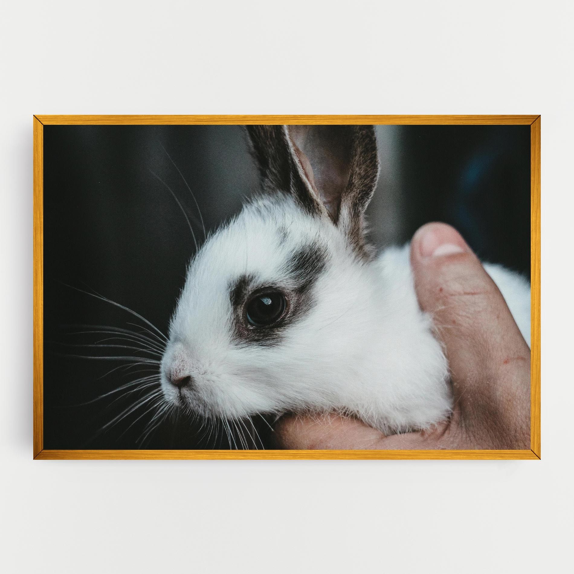 Holding Cute Bunny mockup 0