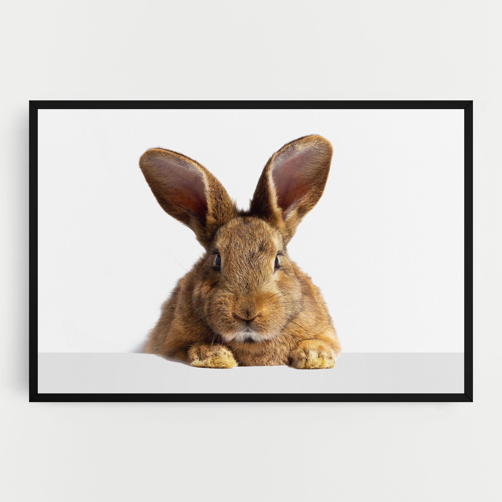 Картина на платно Brown Cute Bunny mockup 0