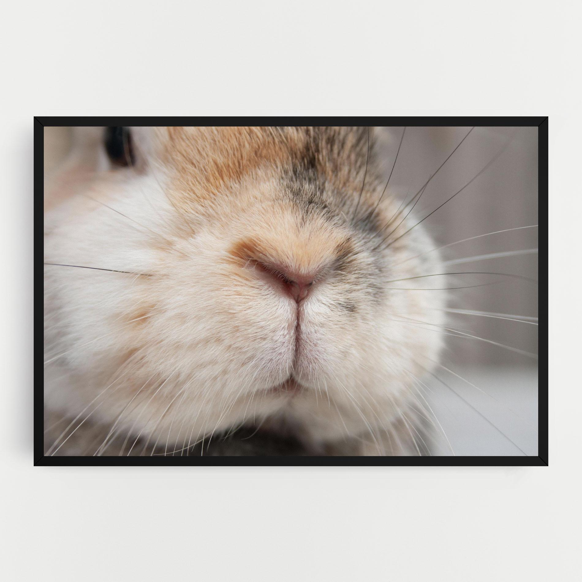 Картина на платно Close Up Bunny mockup 0